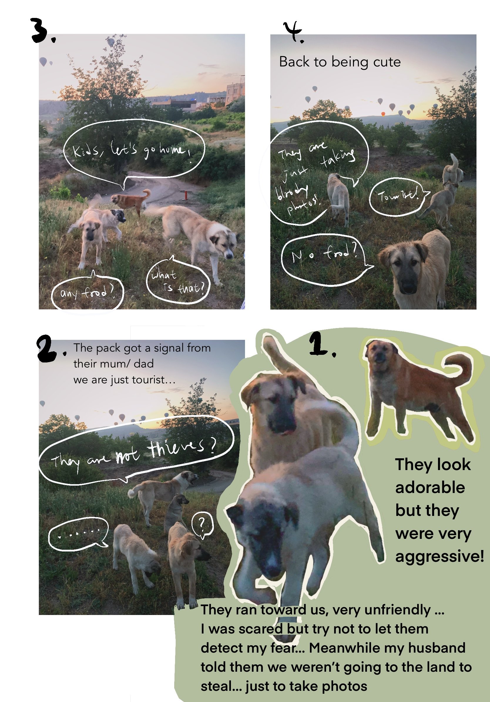 Artist scrapbook page with series photographs of dogs in cappadocia during sunrise. The overlaid text reads: They look adorable  but aggressive