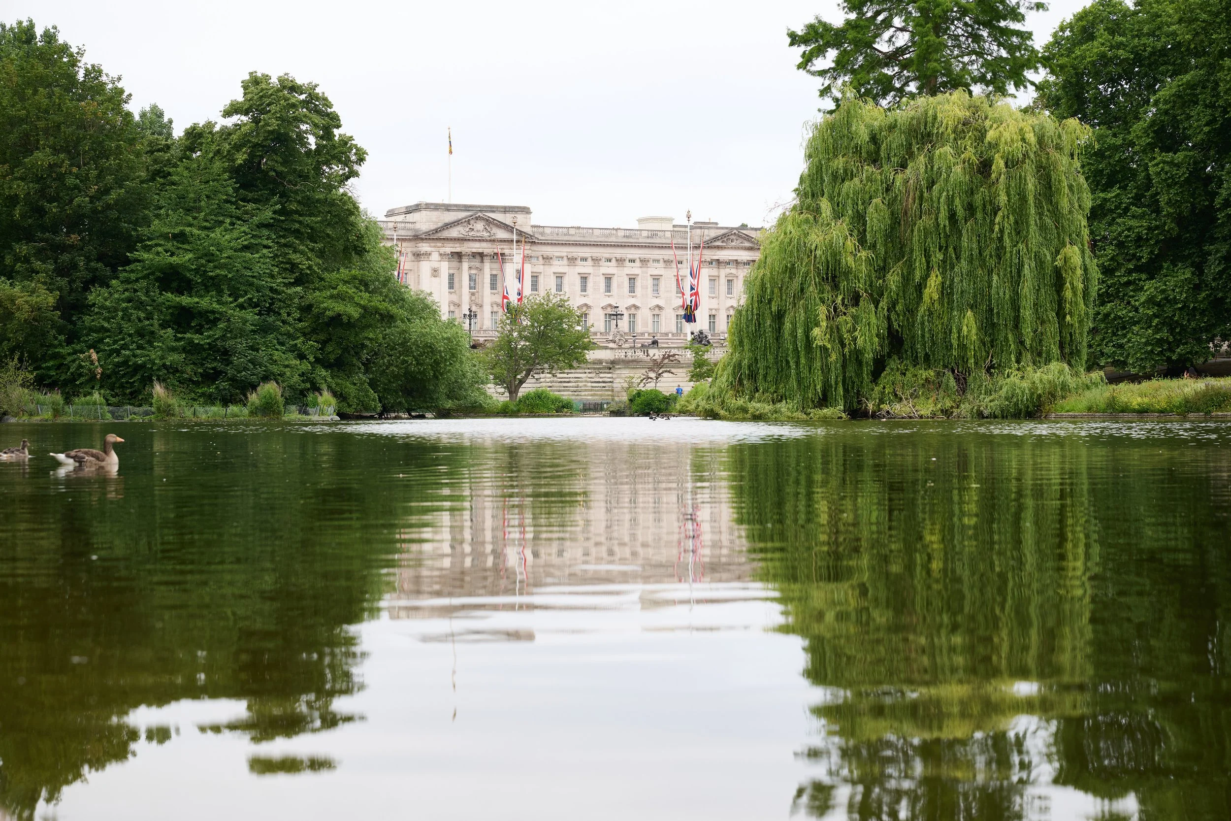 The scenic view of Buckingham Palace from St James's Park, the landscape painting challenge location for the Sky Arts competition.