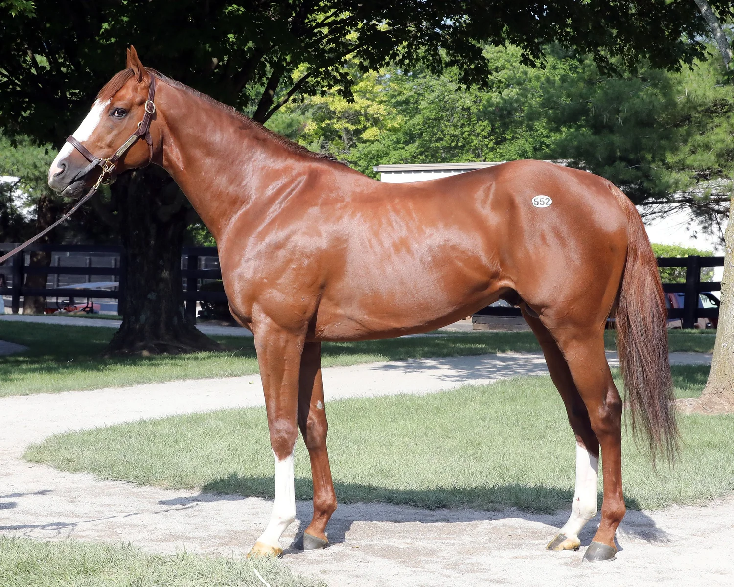 Offerings — Edge Racing