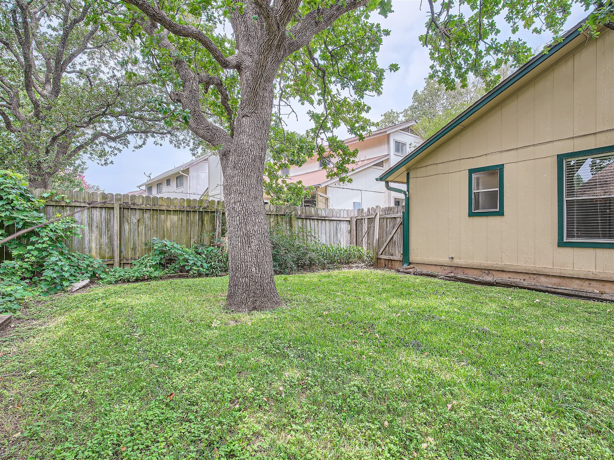 4411 Clarno Dr - MLS Sized - 026 - 30 Back Yard.jpg