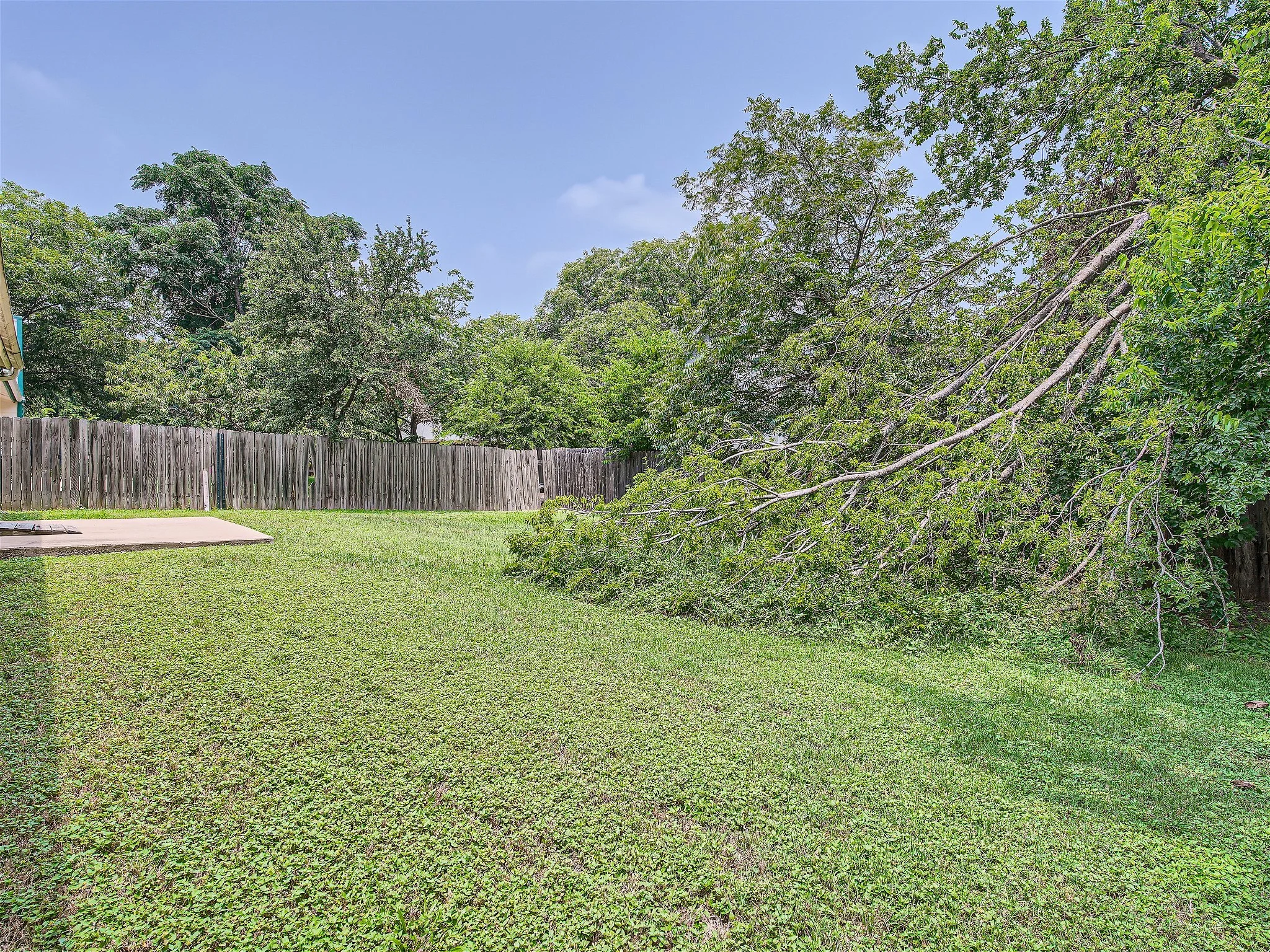 2214 Lear Ln - MLS Sized - 027 - 28 Back Yard.jpg