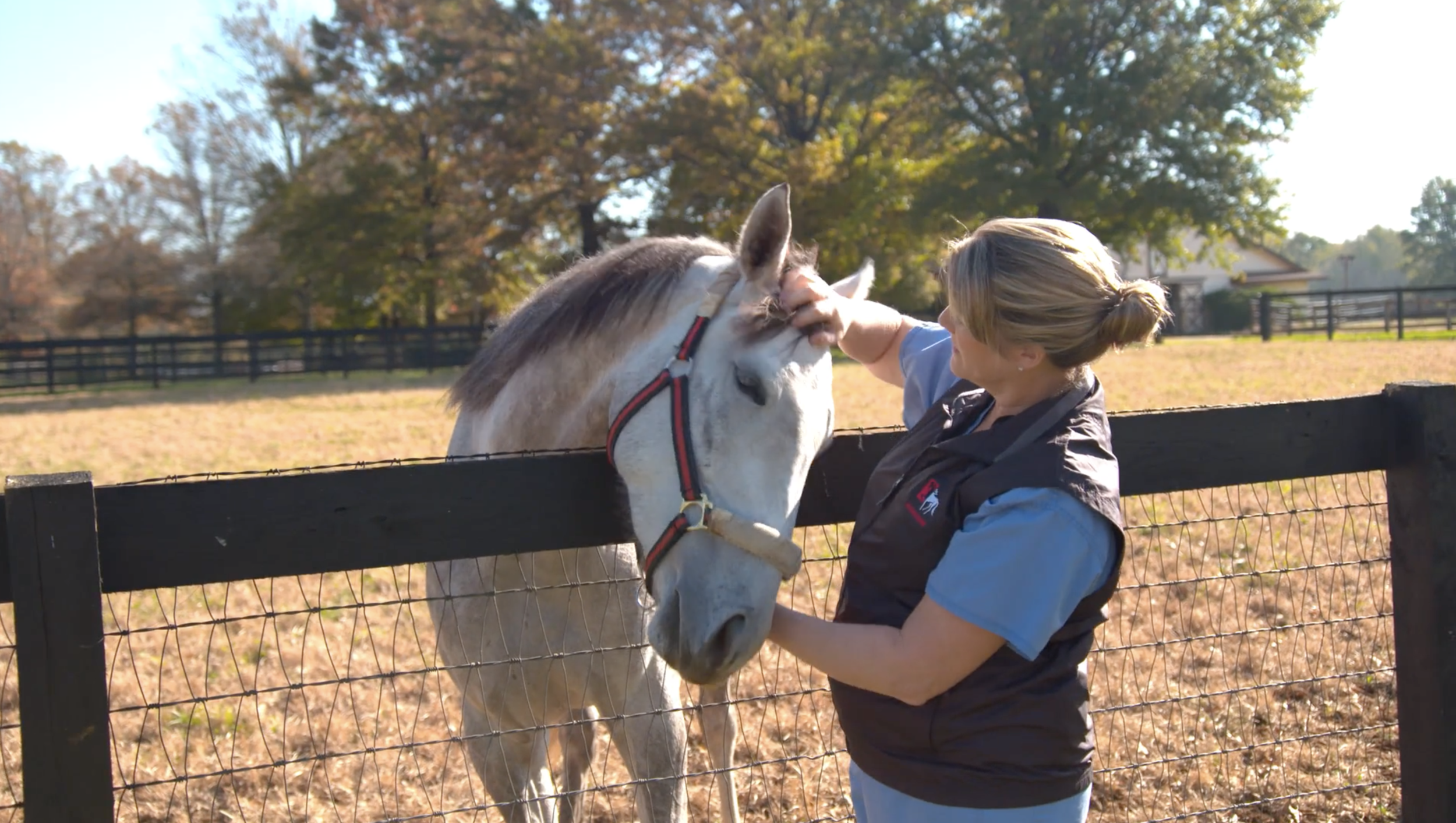 Screen Shot 2021-07-01 at 12.26.41 PM.png