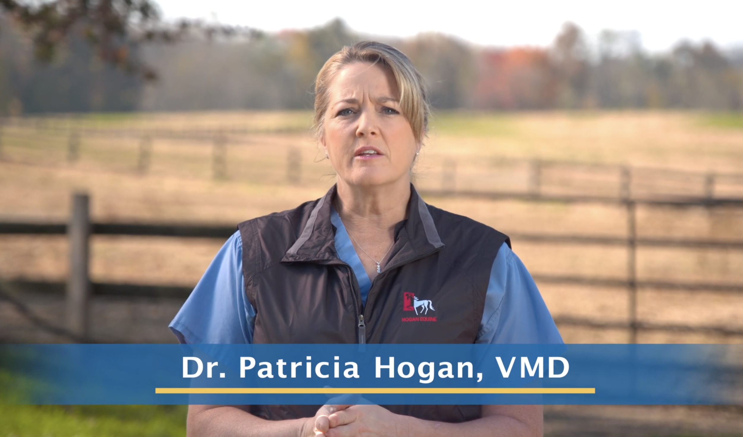 Digital & Social Media Ad "Racehorse Health & Safety"