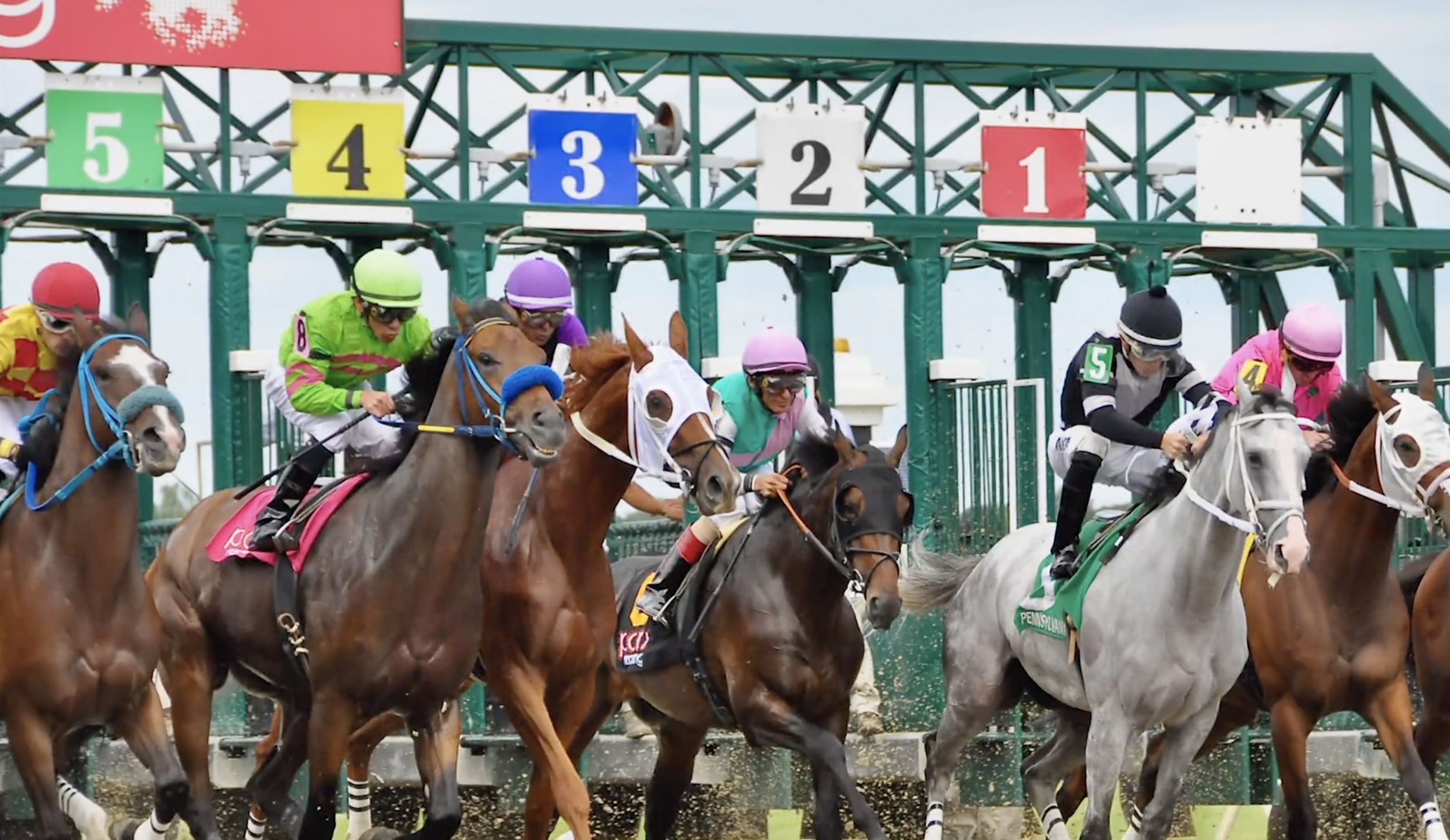 :30 National TV Commercial "PA Stallion Series"