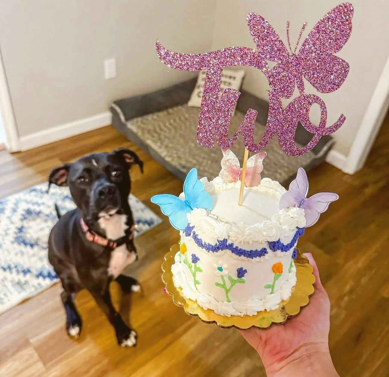 After taking some time off to welcome our little bundle of joy 💙, our dog bakery is officially back from maternity leave! 💕 We are slowly opening up for orders again and can&rsquo;t wait to celebrate your pups with our fresh, wholesome, tail-waggin