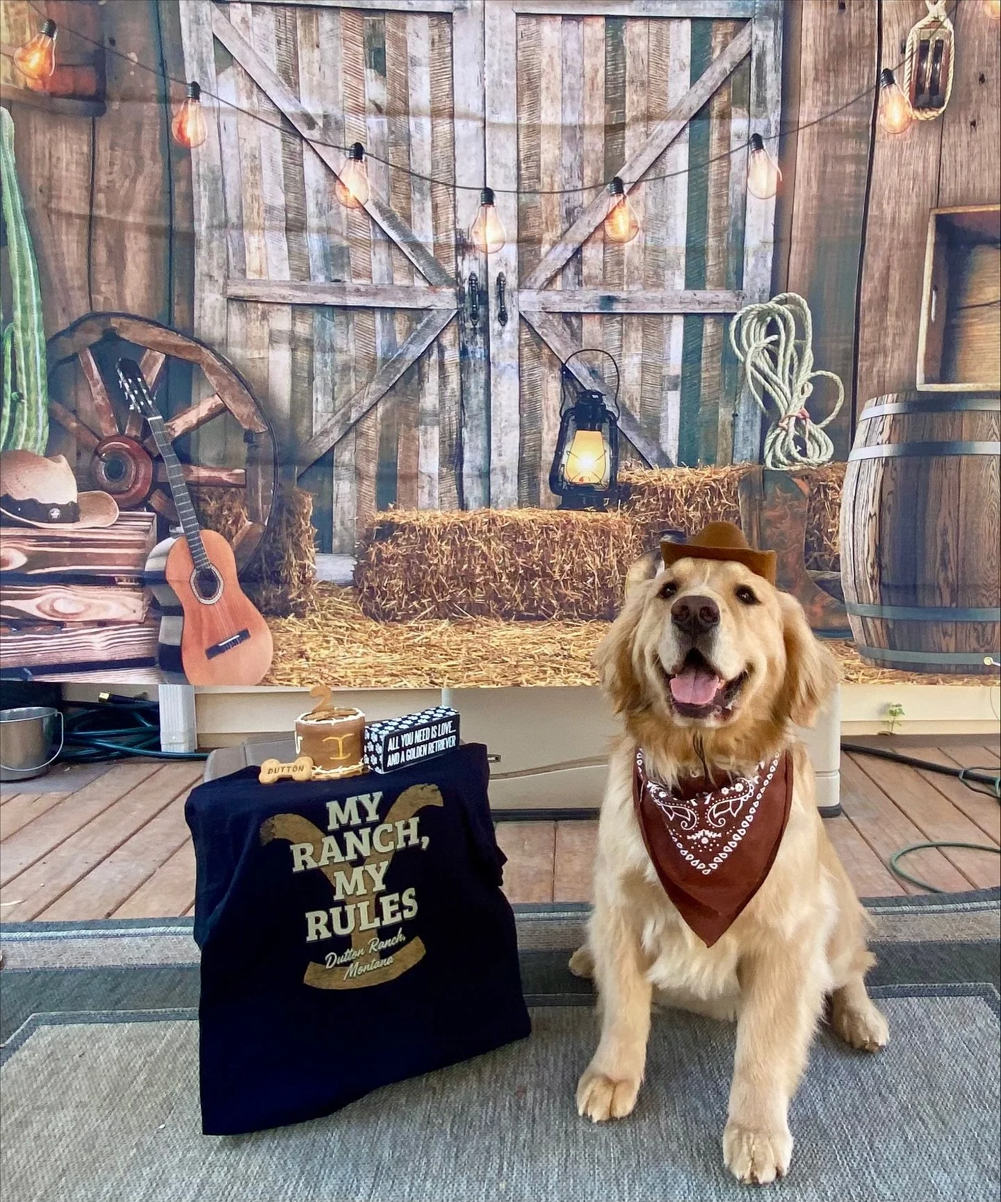 Paw-ty time!! 🎉🐶

Nothing makes us happier than seeing your pups enjoying their birthday cakes. 

Tag us in your celebration photos, we LOVE sharing them! 💛

#ncpupsfeature #ncpupsbakery #dogparty #cltdogs #goldenretrieverworld