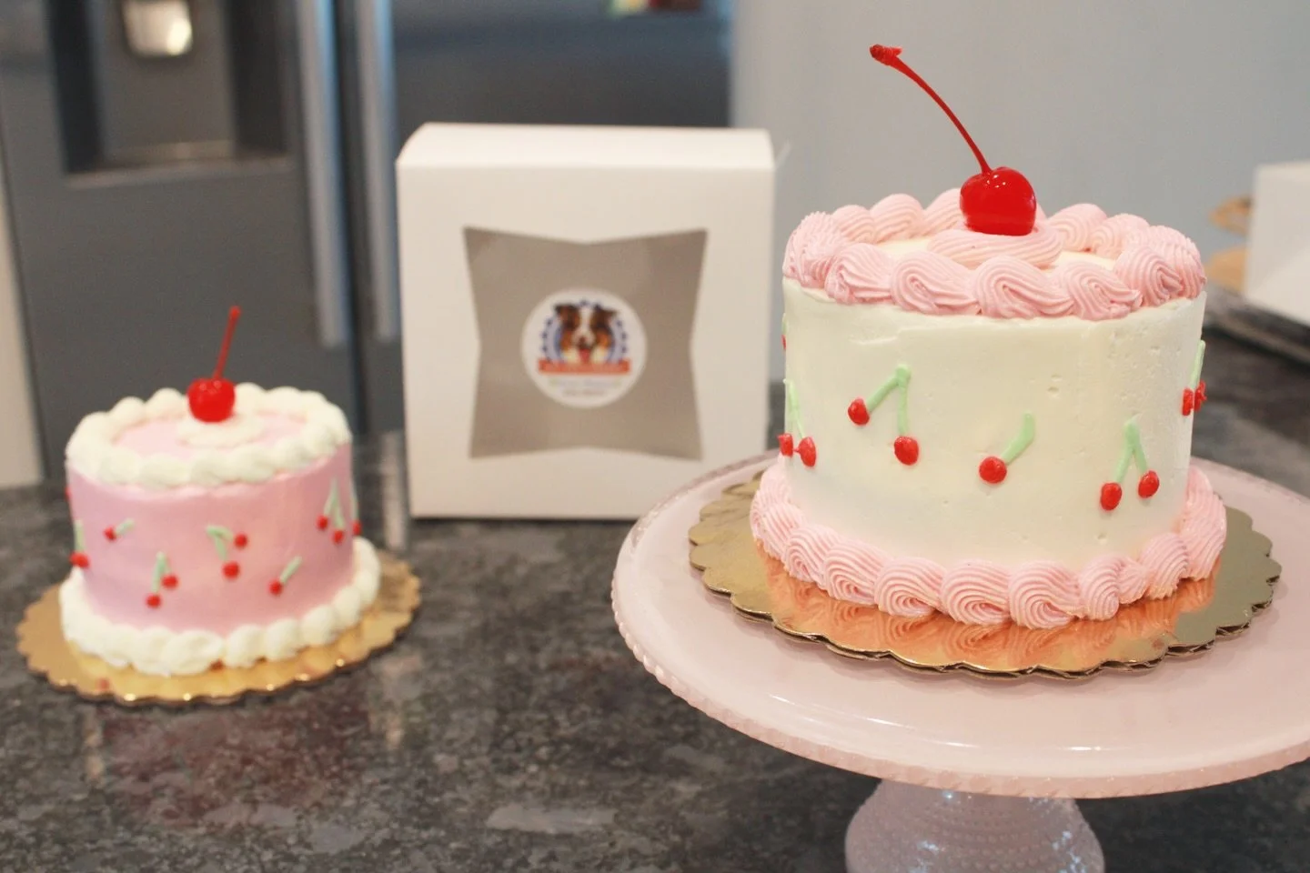 The holidays were extra busy with baby, family visiting and cakes orders🤍 and now that I&rsquo;m back to my full-time job, I realized I never got the chance to post some of the most beautiful, precious doggy cakes we made 🐶🎂 #ncpupsbakery