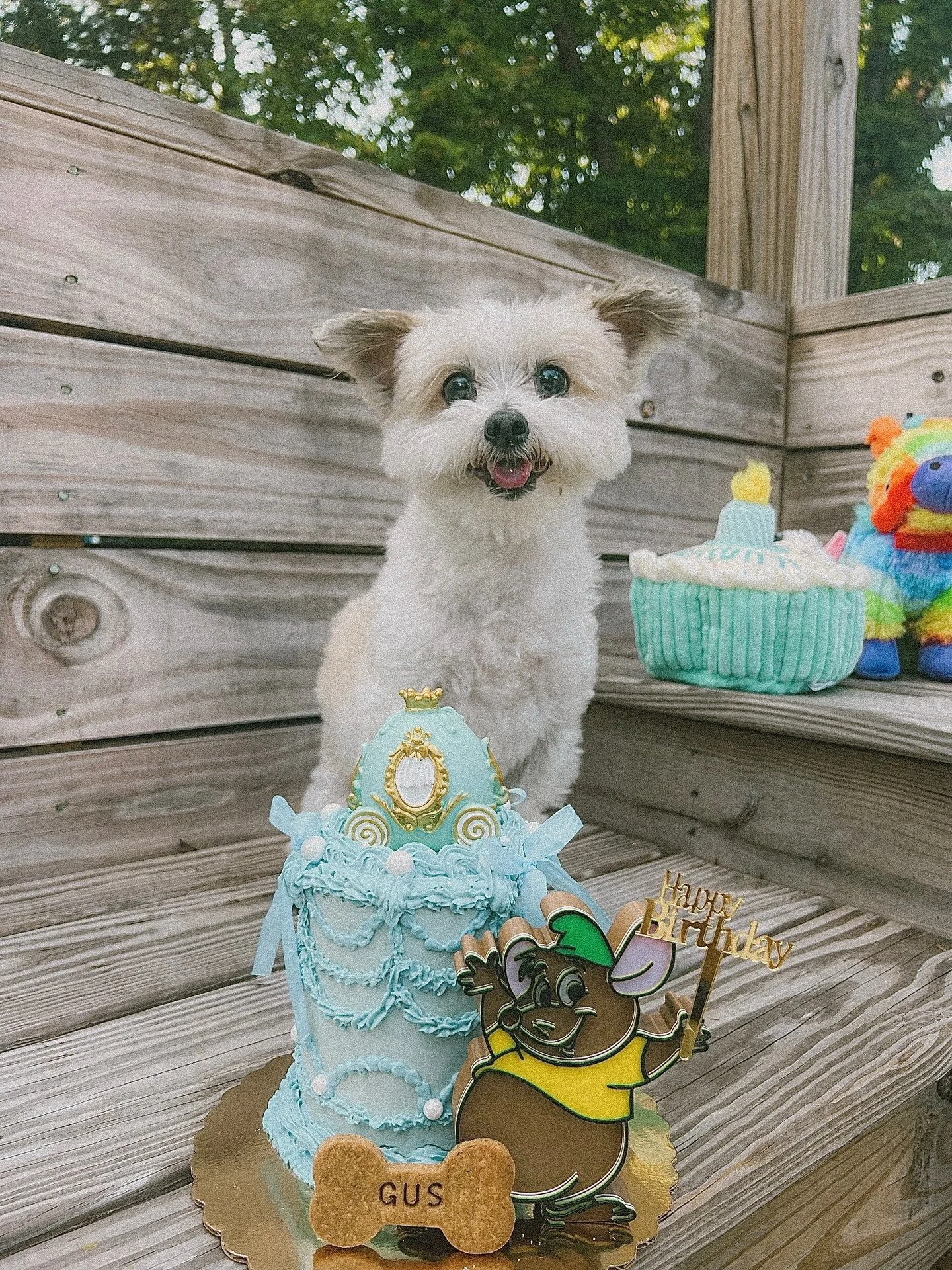 ✨ Kicking off the week with a showstopper.
Every swirl, every detail, every ingredient &mdash; made with love and 100% pup‑safe goodness.

Who&rsquo;s celebrating a birthday soon?

Tag a dog parent who needs this cake.💙
#ncpupsbakeryfeauture #ncpups