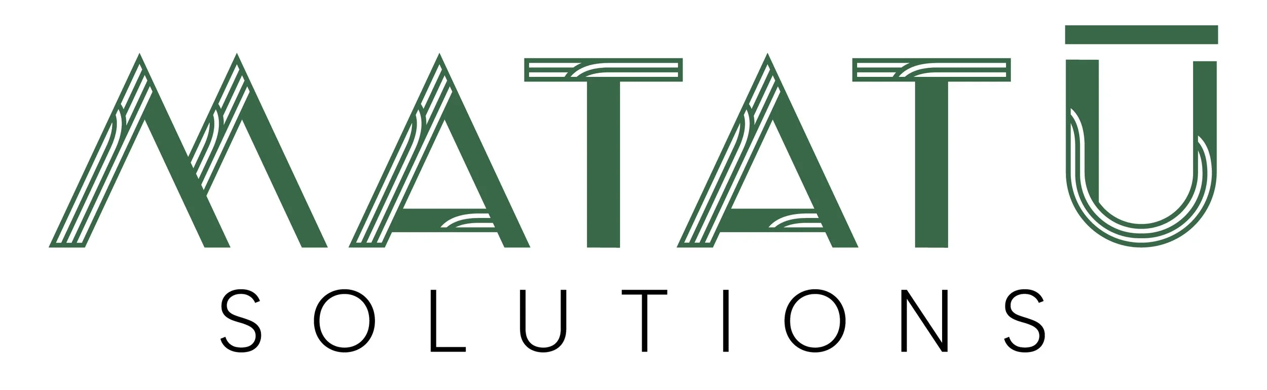 Matatū Solutions.jpg