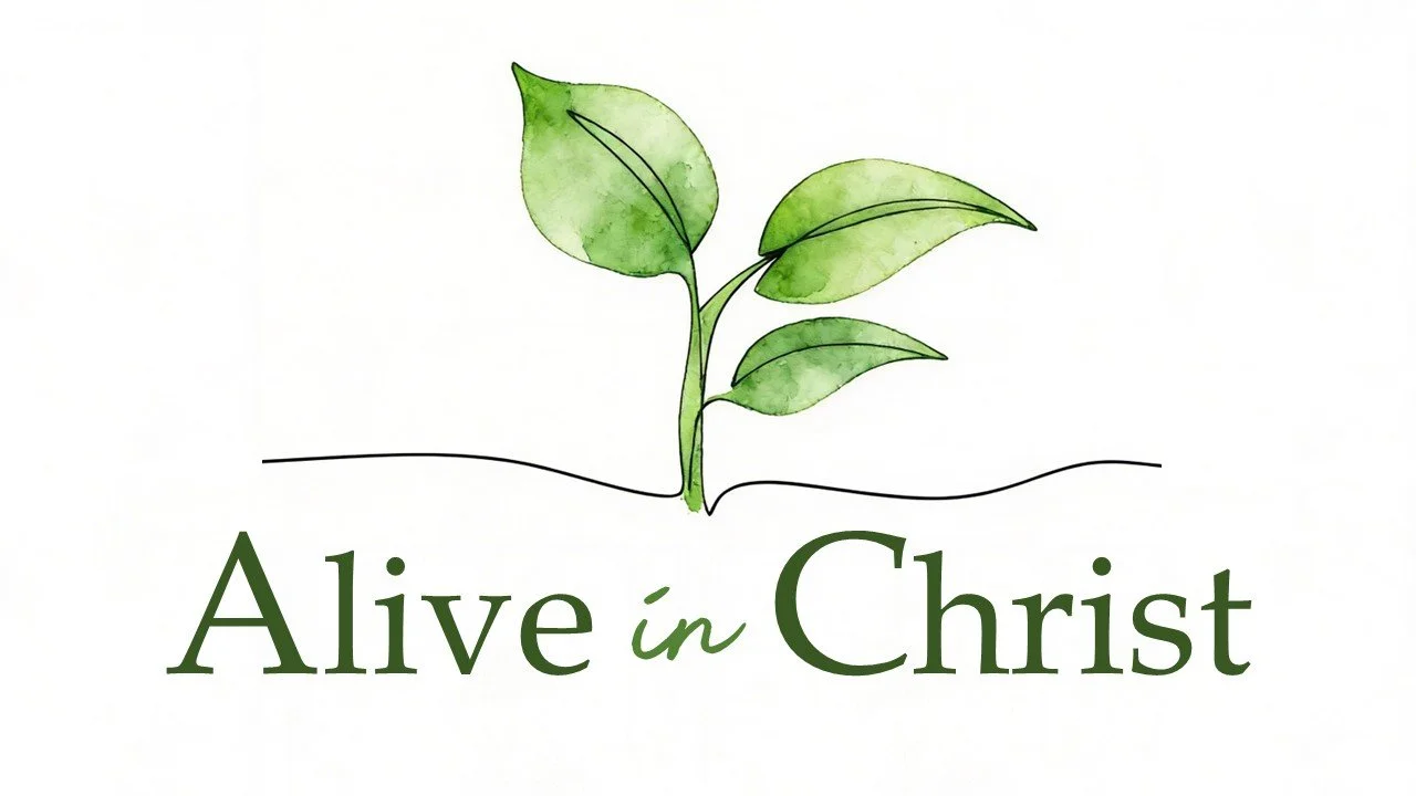“Alive in Christ: In Him, You Have All That You Need”