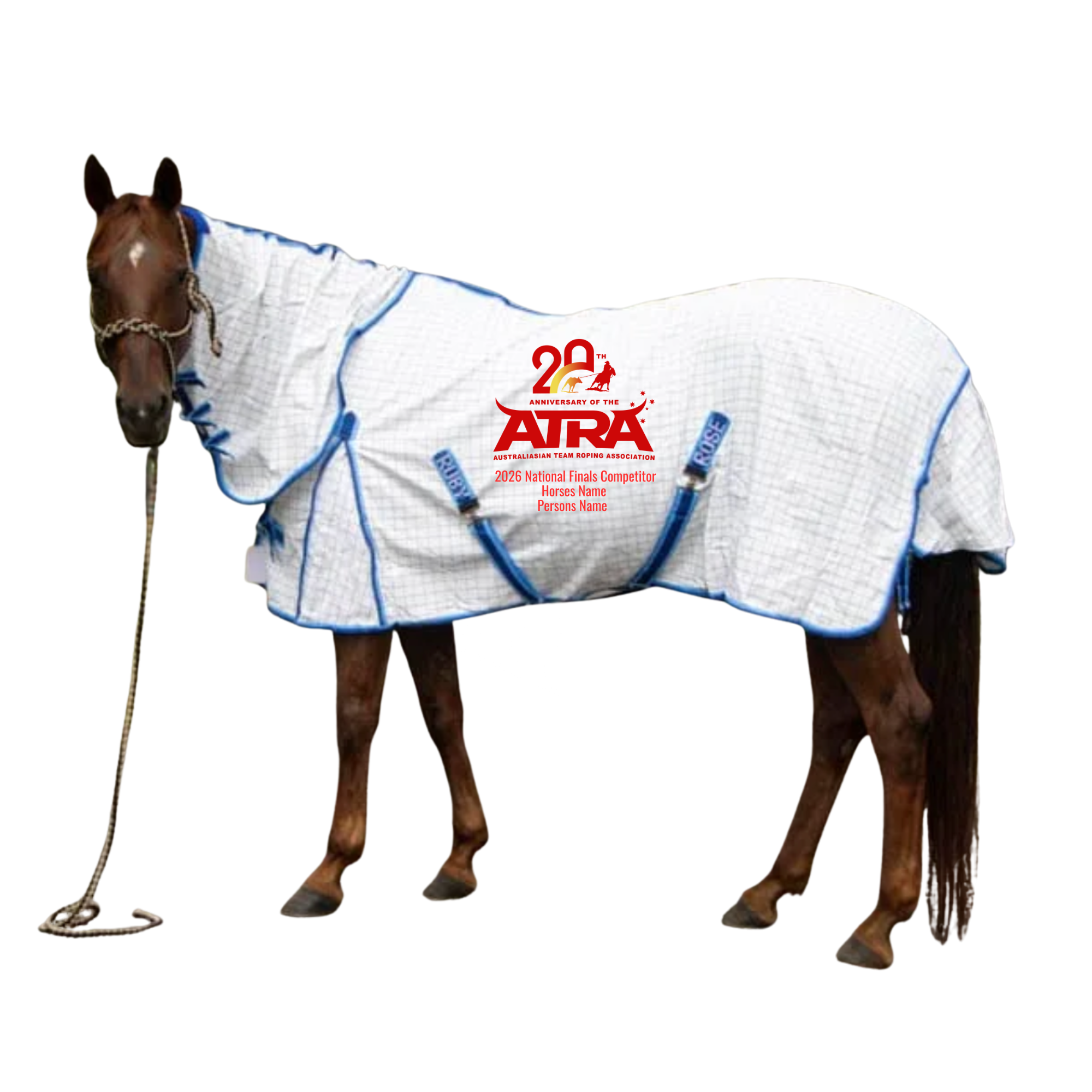 rug.png