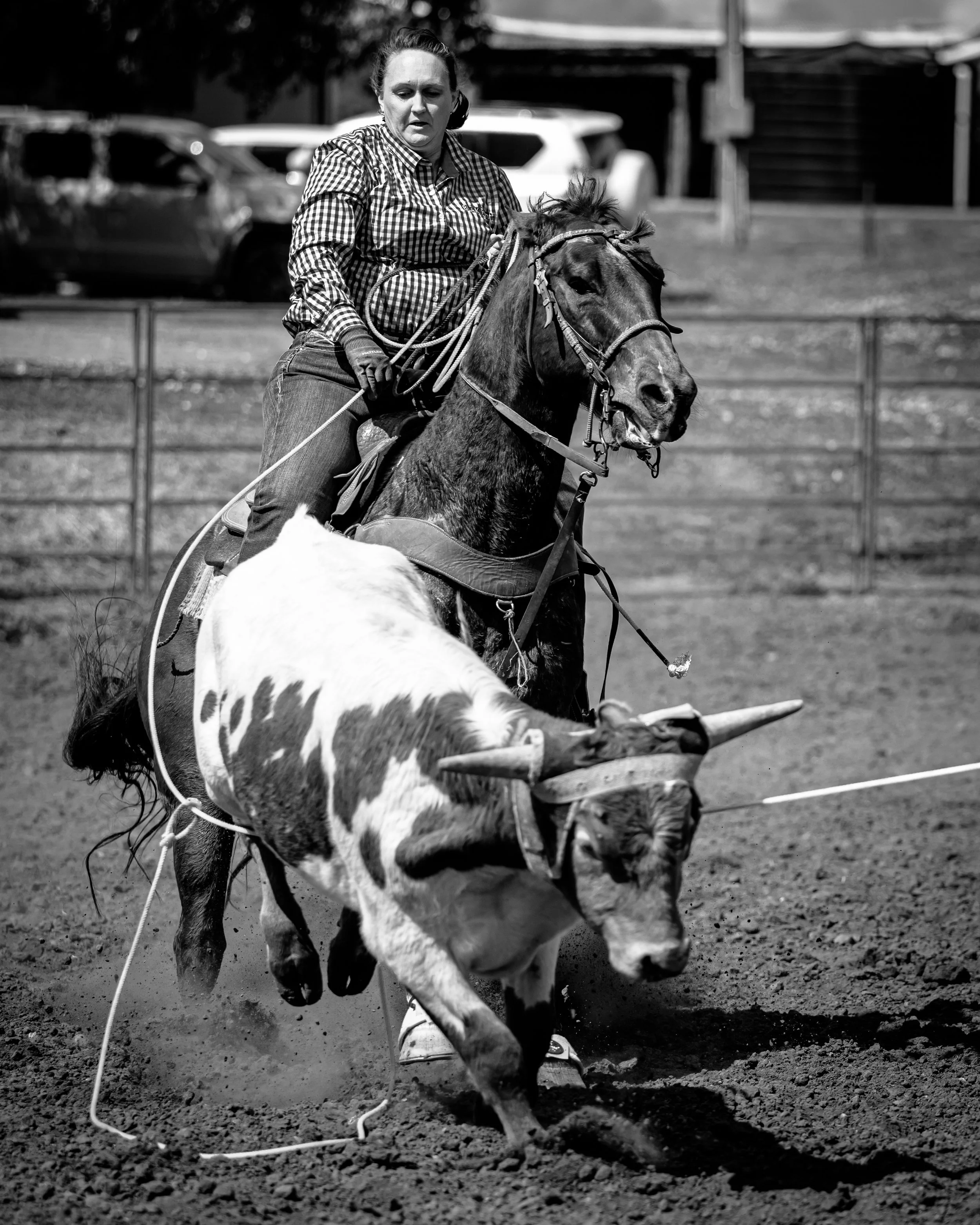Why BLAK Print Backs Rodeo