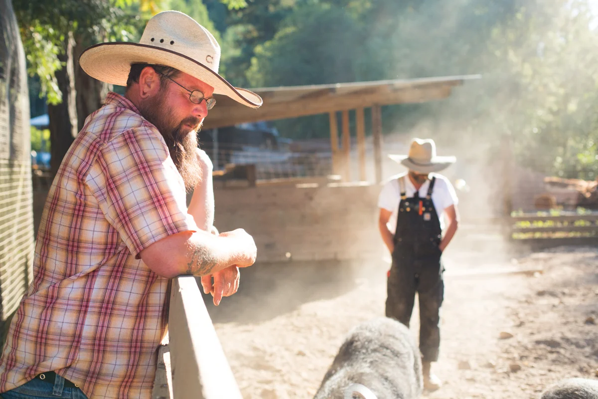 Mendocino Heritage Pork, Philo