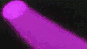 17.14.11_SealDancing.gif