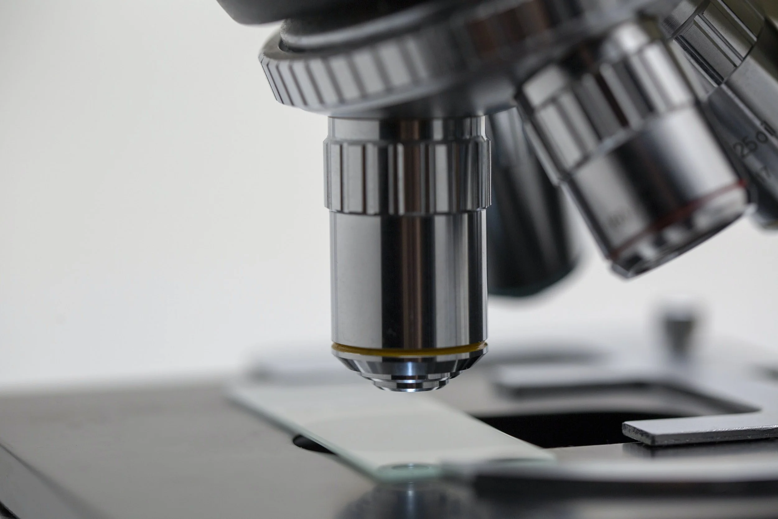 Finding Research as an Undergrad