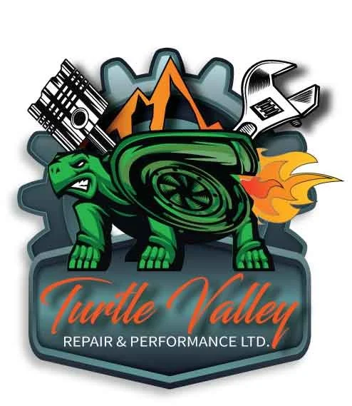 Turtle-Vally-No-11-web.jpg