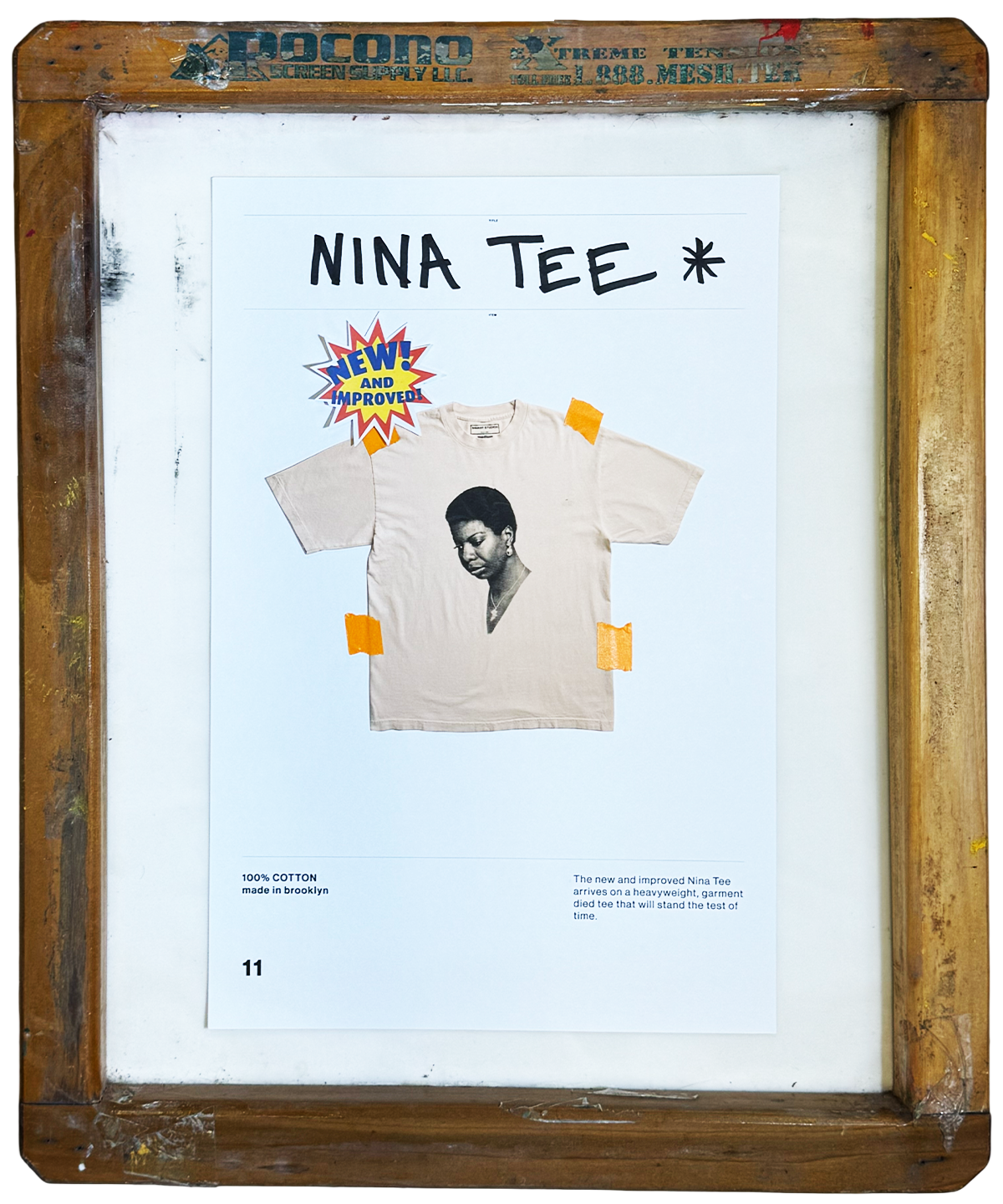 NINA SCREEN.png