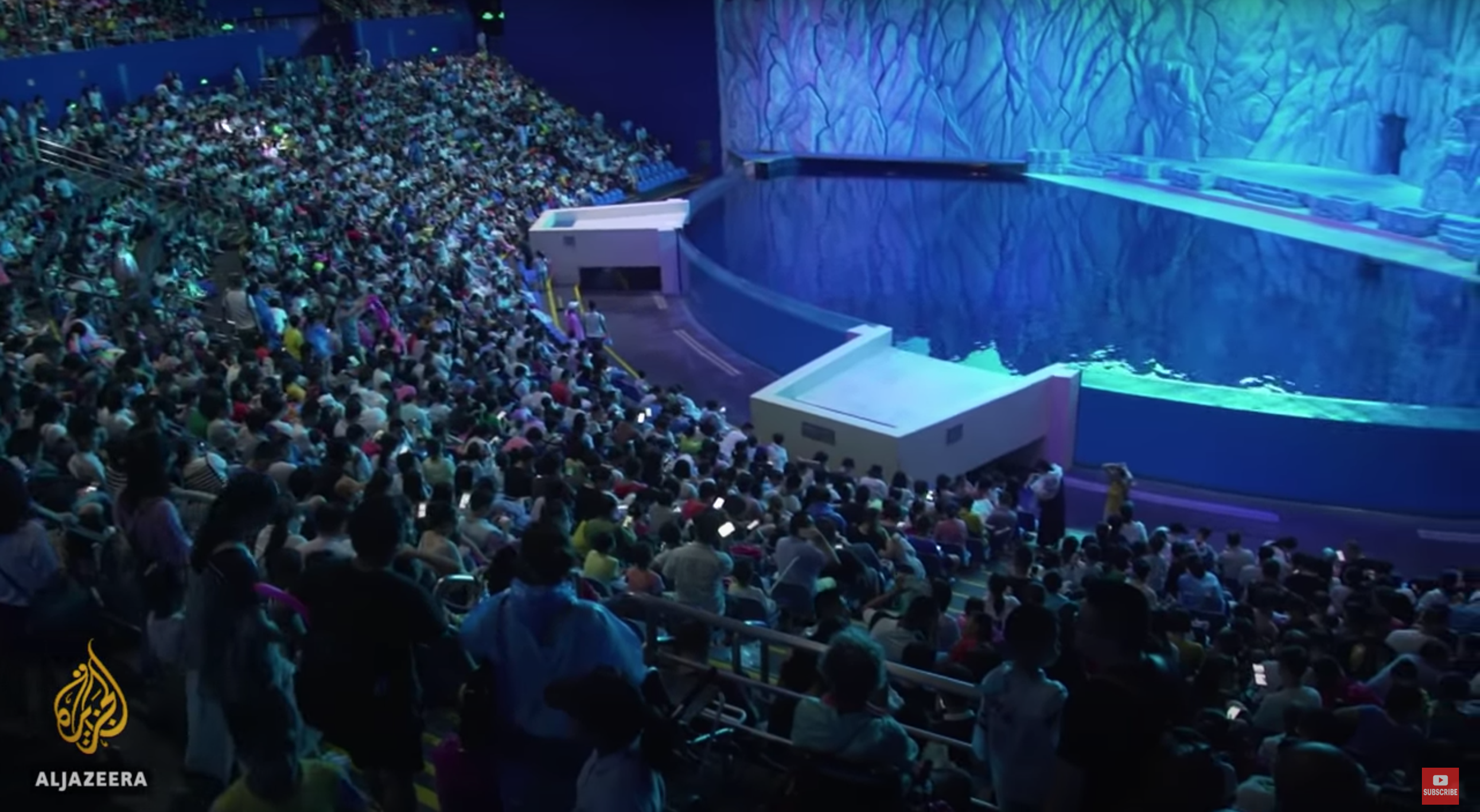 An audience waits in anticipation for a spectacular dolphin show at an aquarium in China, seen in the documentary 'China: Caging the Ocean's Wild'.