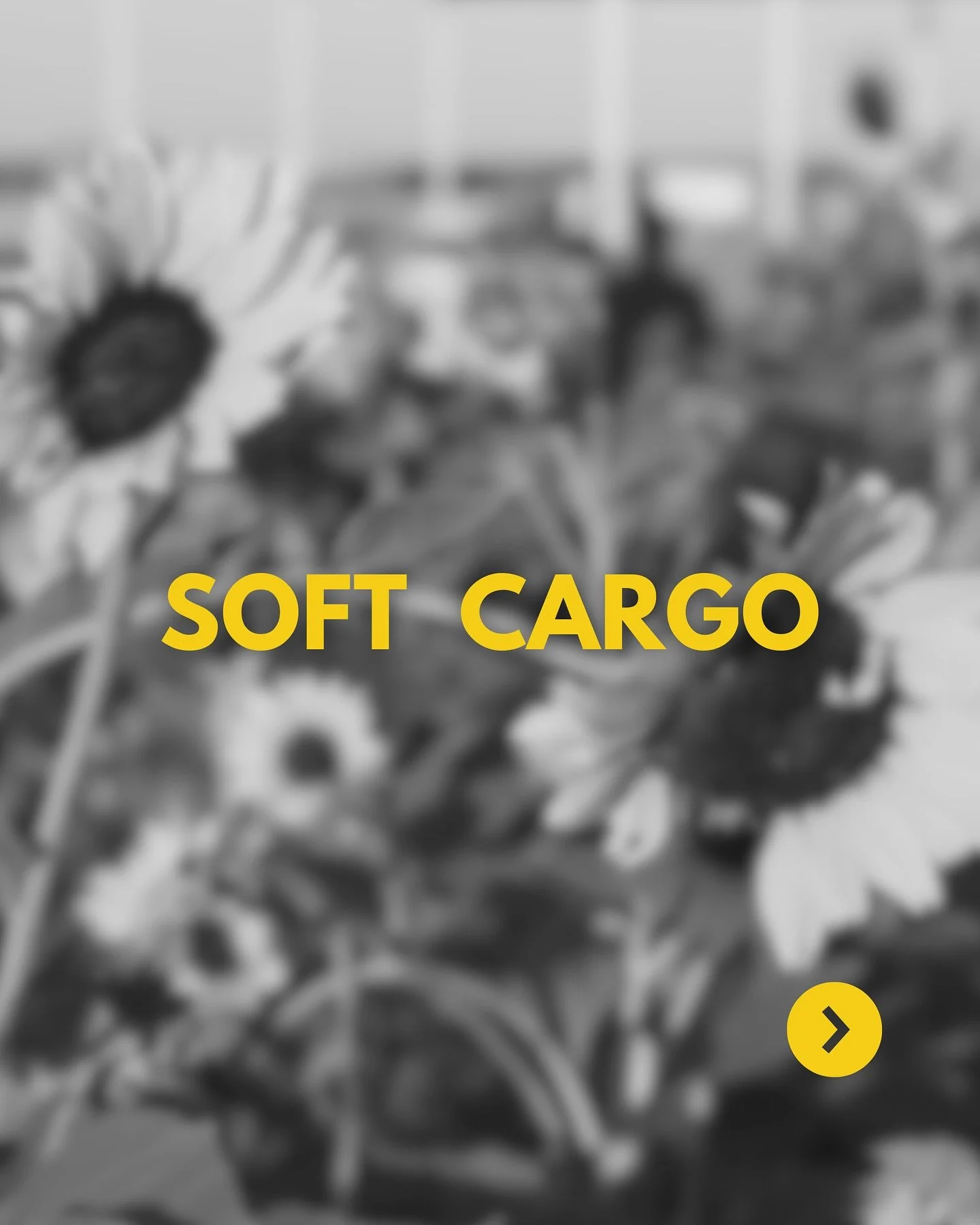 SOFT CARGO
There&rsquo;s nothing like bringing a story to life that truly needs to be told. Big shoutout to Christian Moldes for creating such a beautiful film. I&rsquo;m so proud to have joined as a producer.
Here are some of my favorite behind-the-