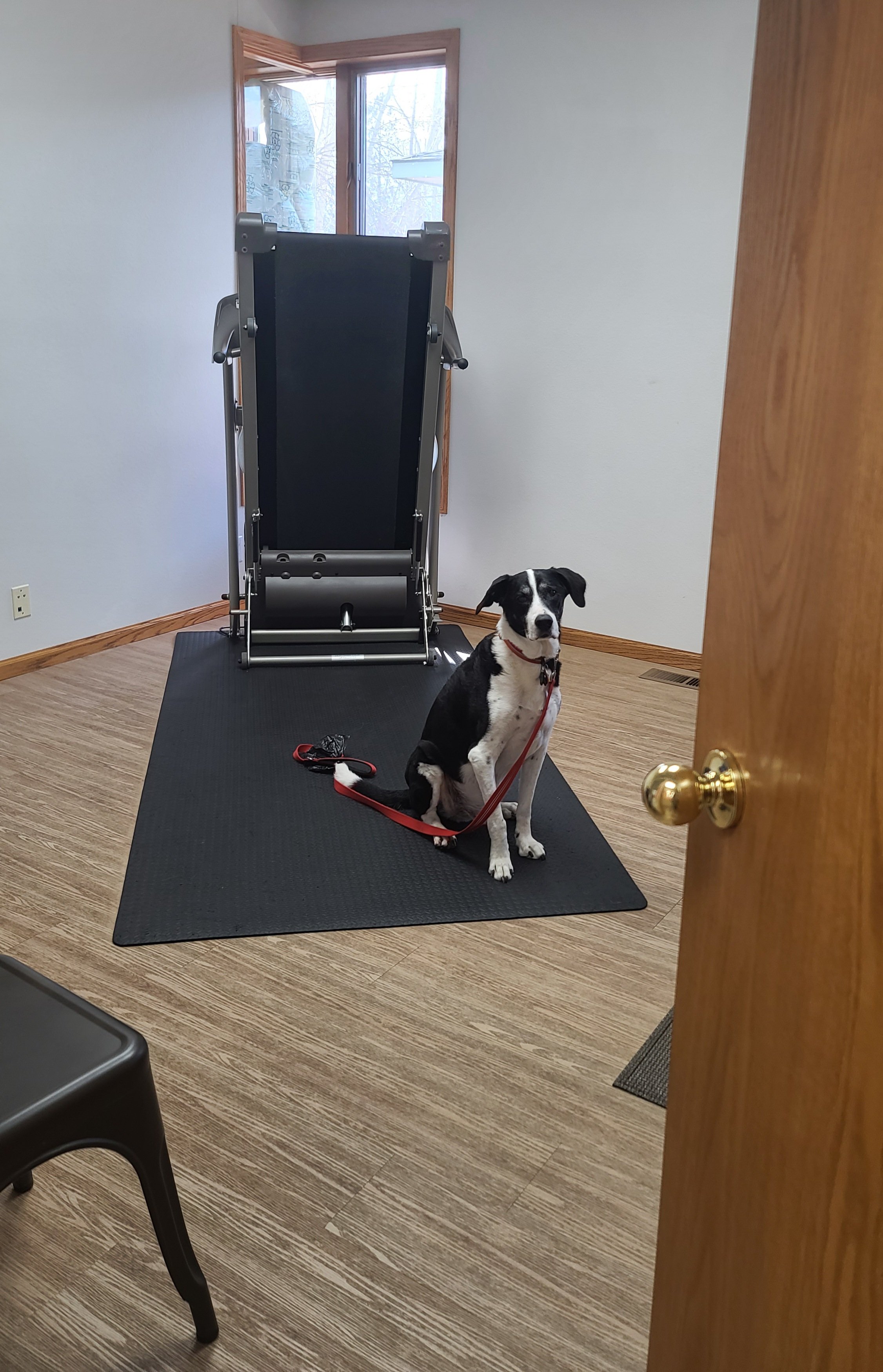 A treadmill is always available for our physical therapy patients
