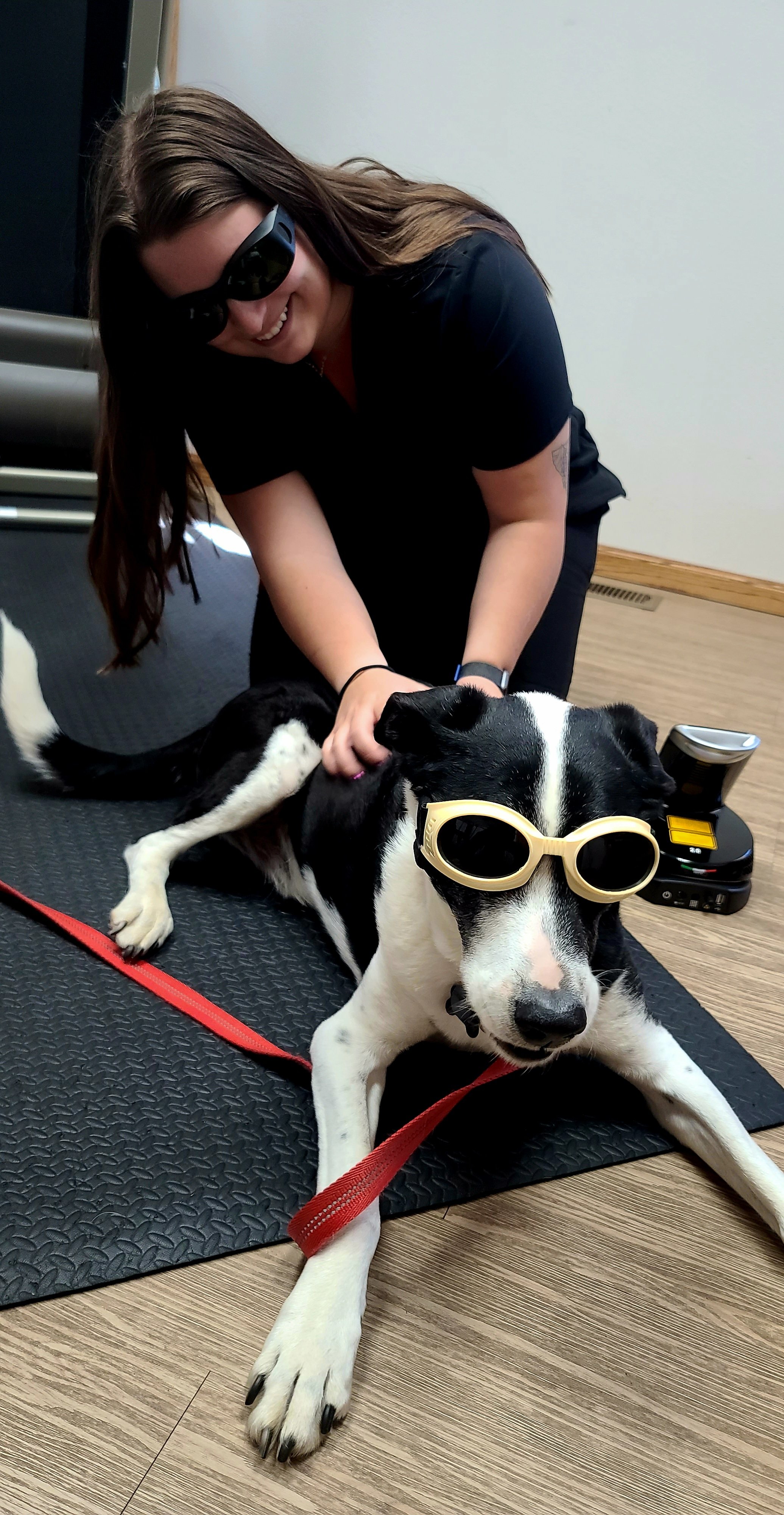 Laser therapy is a common occurrence and of course we have safety "doggles"