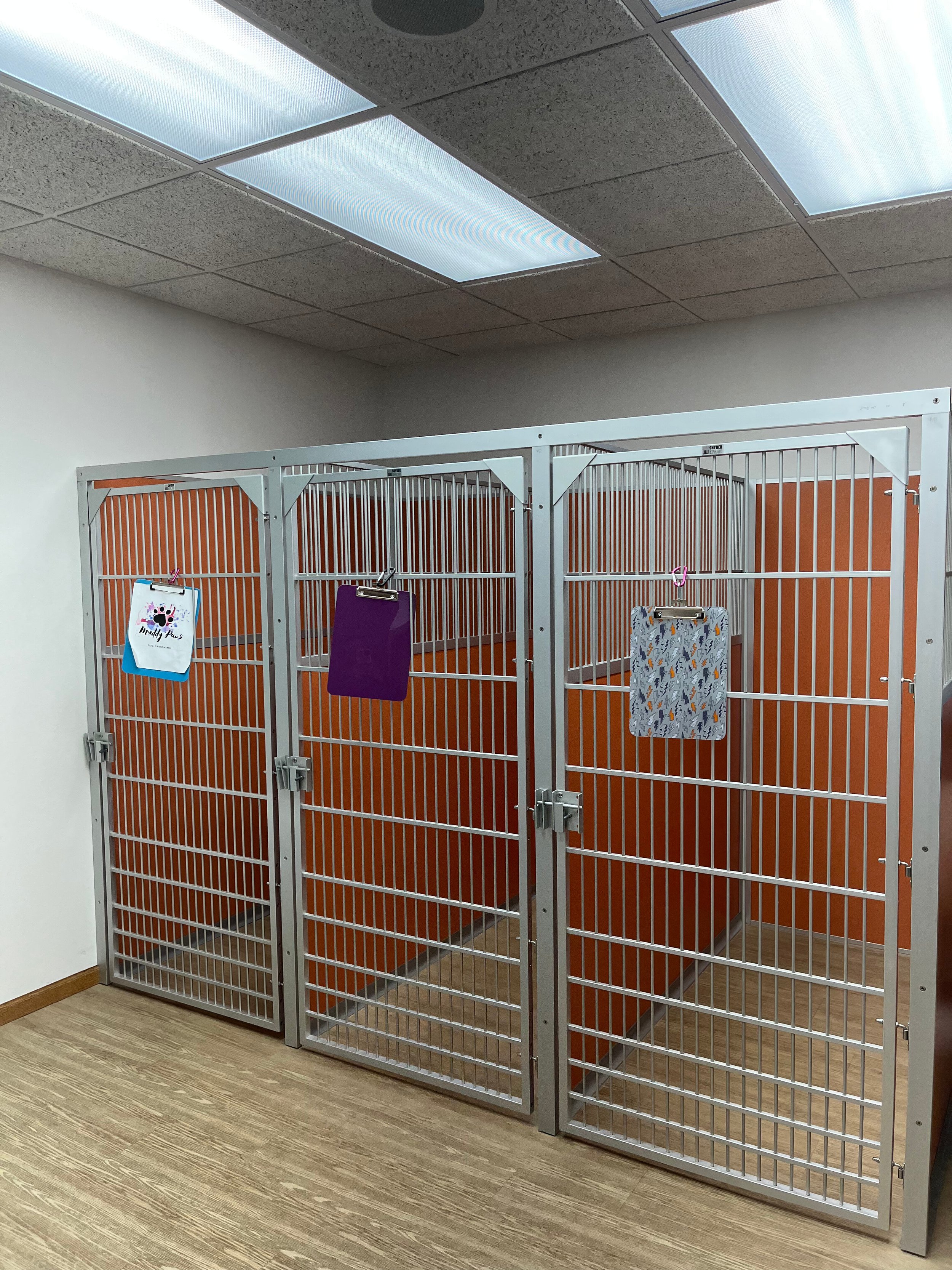 Our kennel room has large runs available for the biggest dogs in our care
