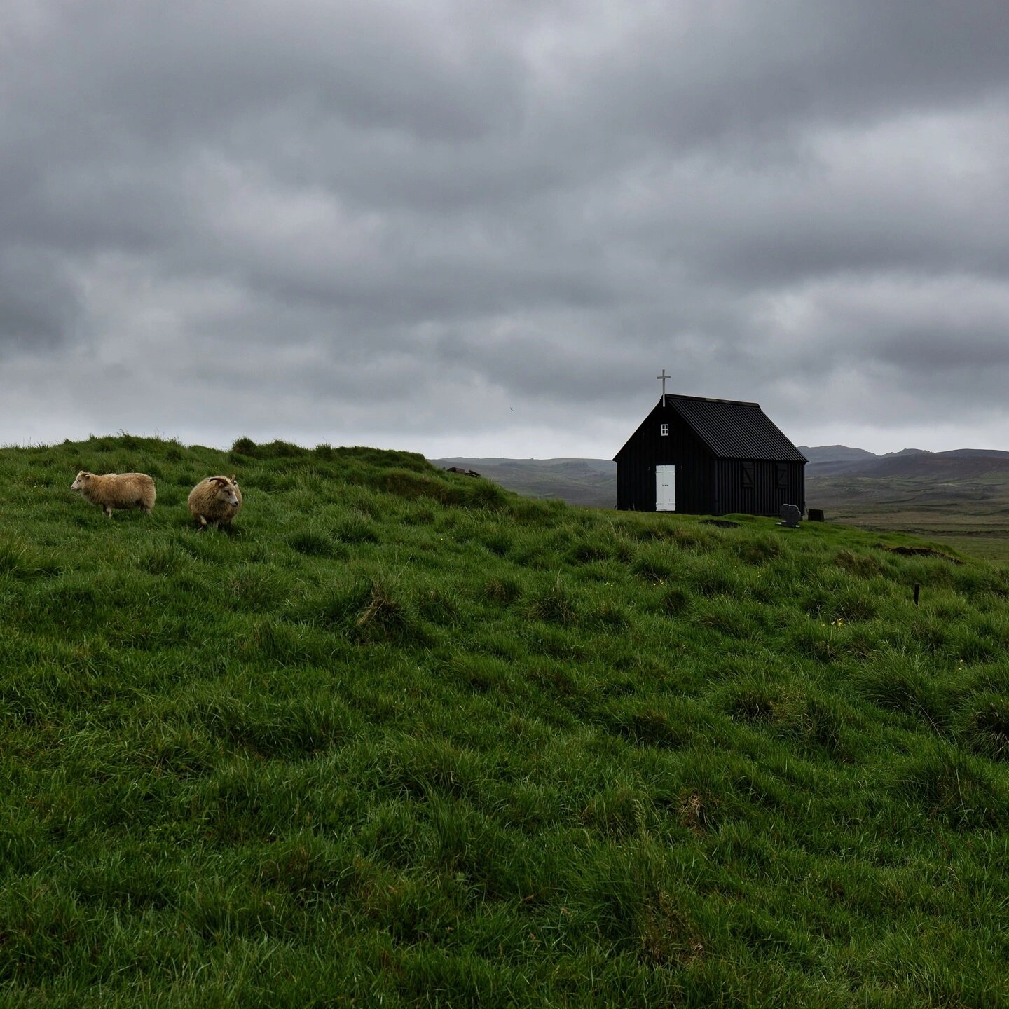 Recently spent a week in Iceland exploring. The first day was spent driving around the Reykjanes Peninsula and ended in Reykjavik for the night.  It was our first time there, and I was instantly amazed at the beauty and variety in the landscapes. 
#i