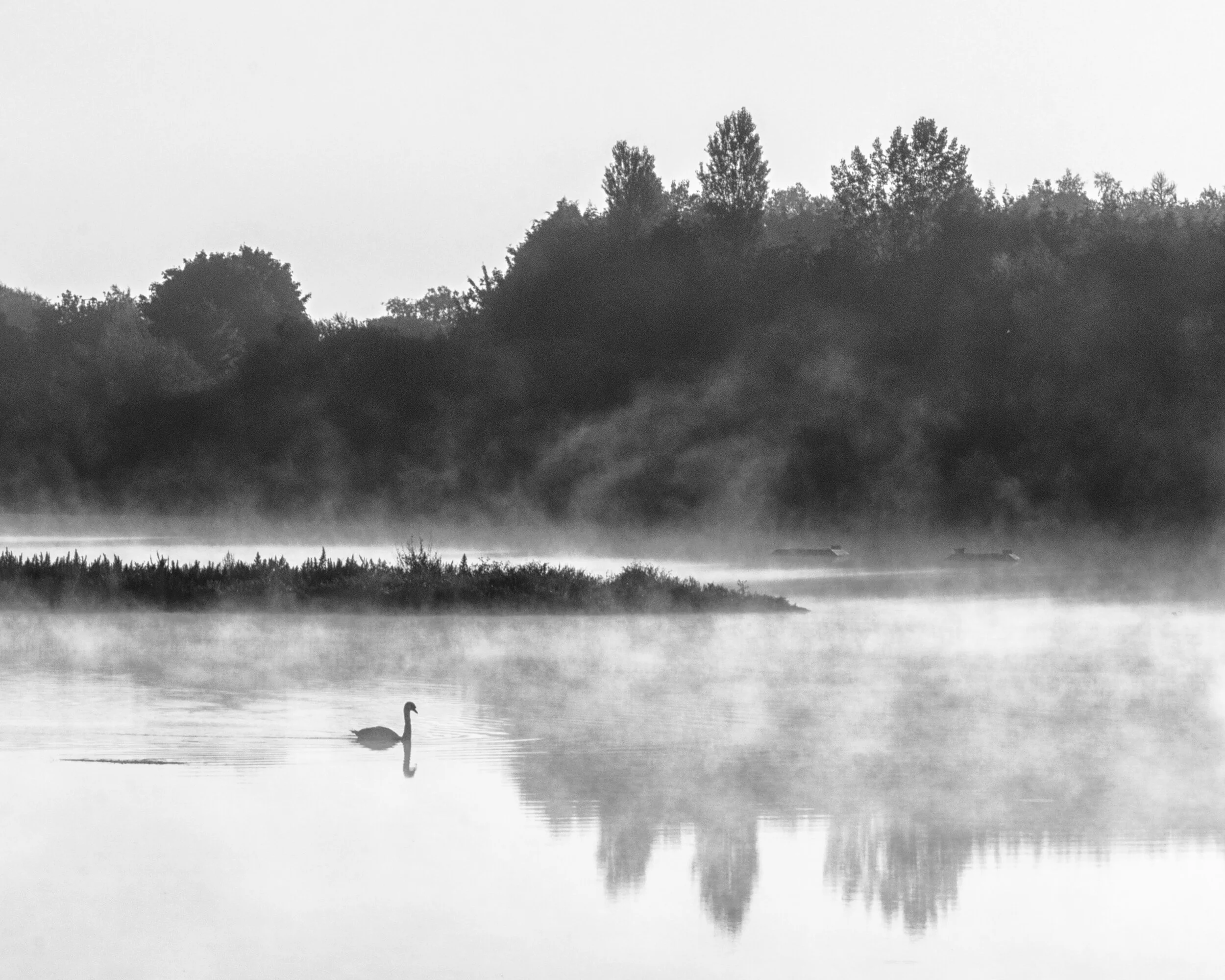 Swan Lake BW 2015.jpg