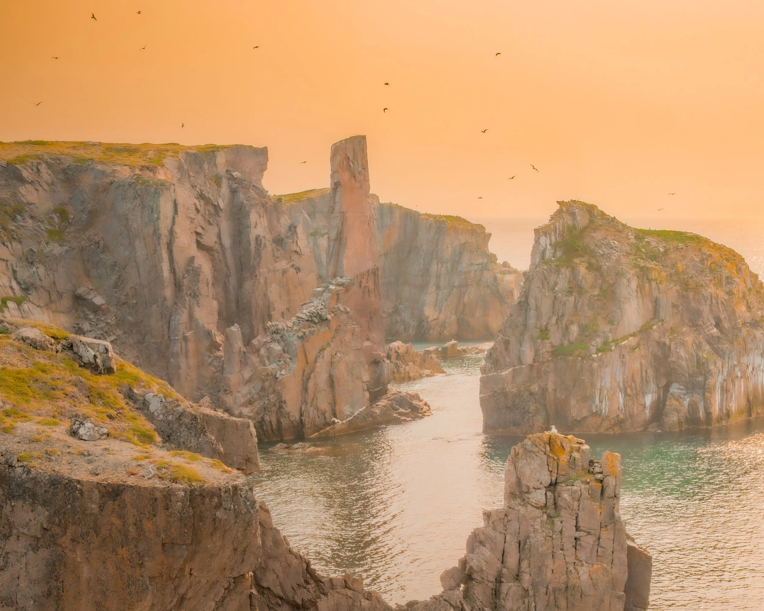 Spillers Birds Landscape .jpg