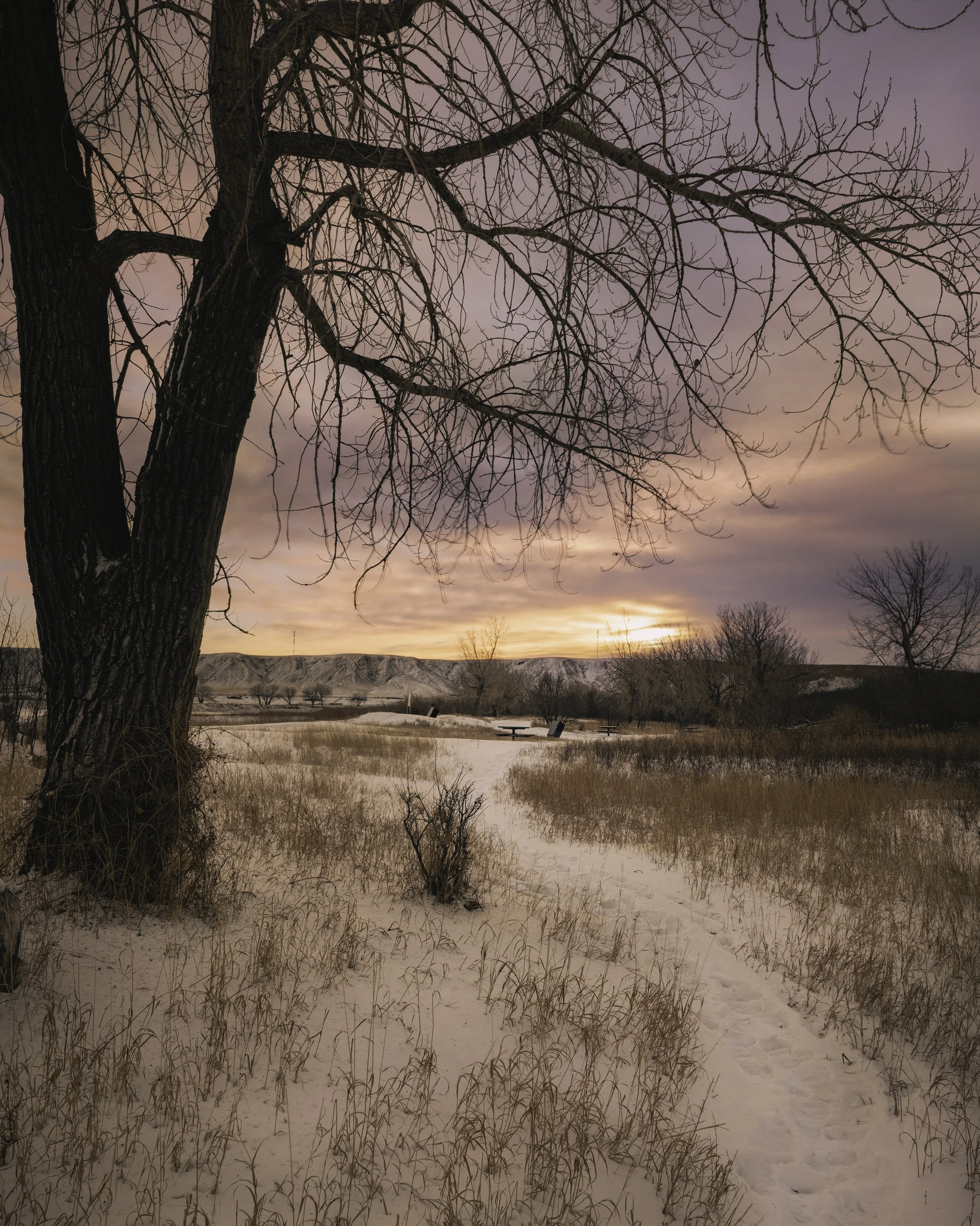 Police Point Park Jan 2021 Winter Sunrise Pathway  .jpg