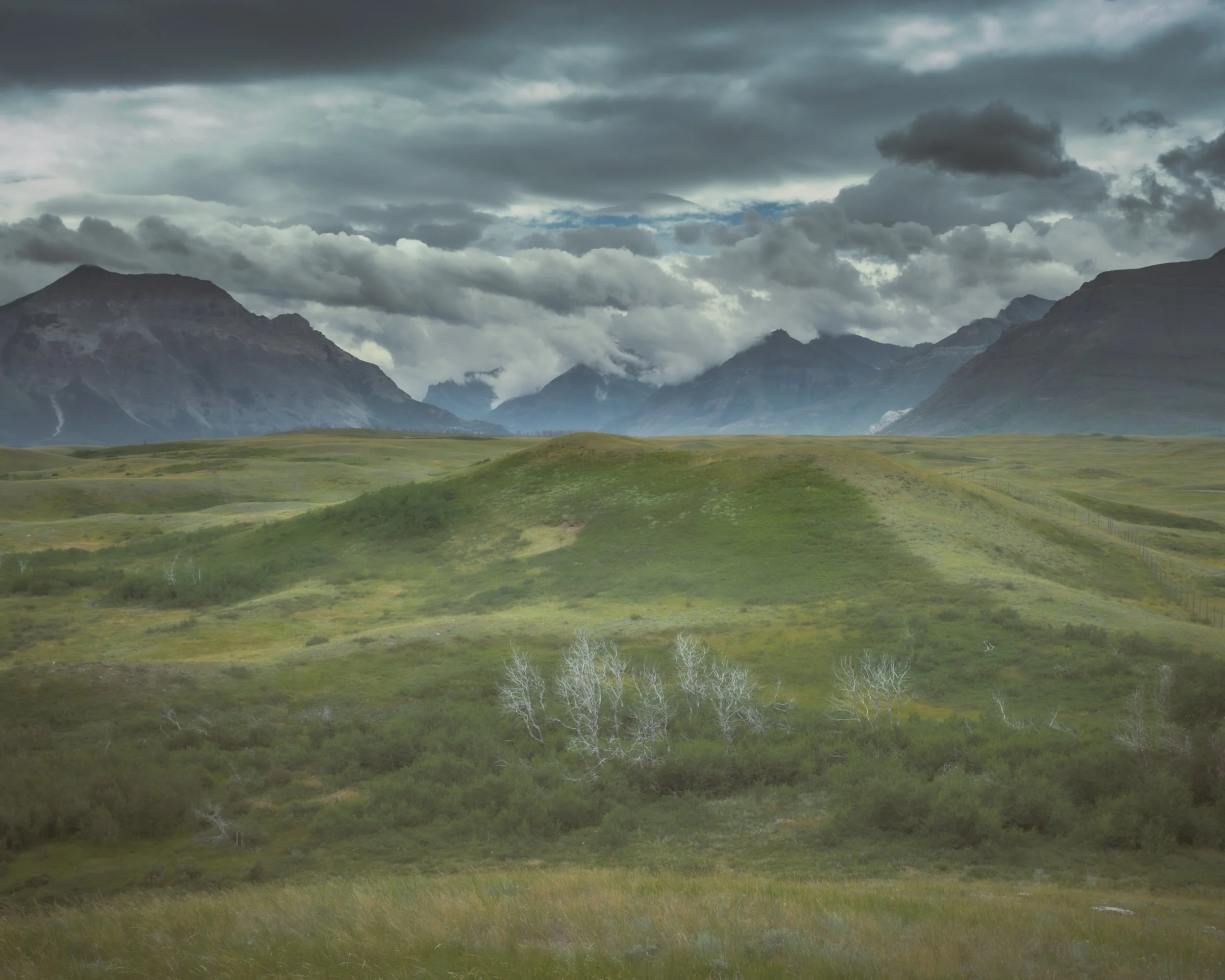 Waterton 15.jpg