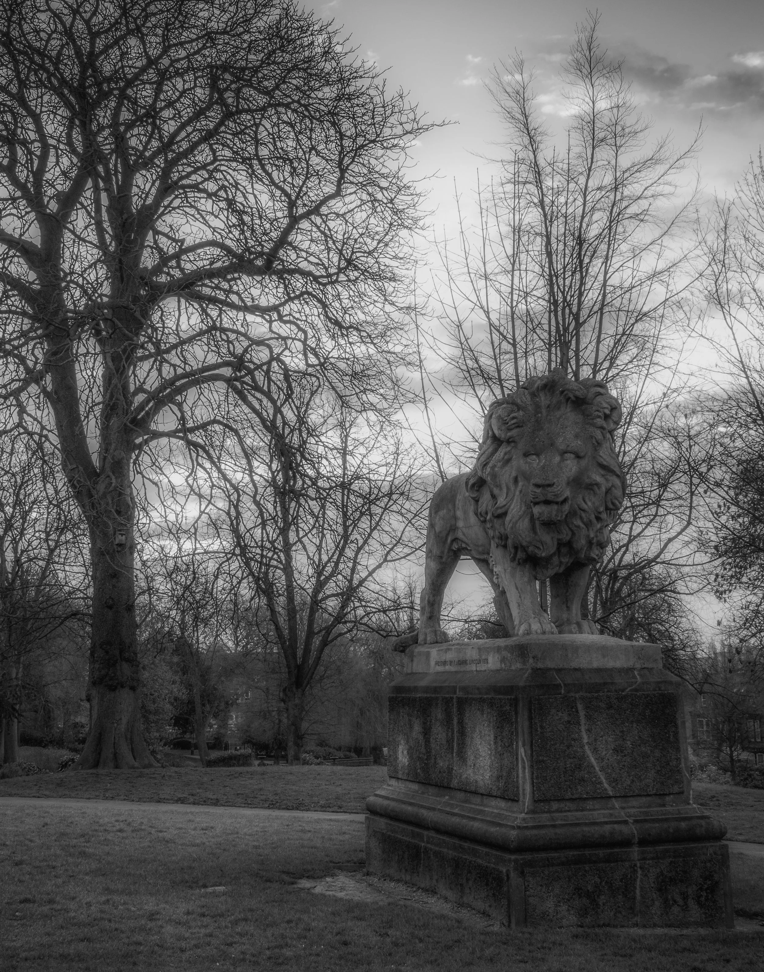 Lindum Lion 2015.jpg