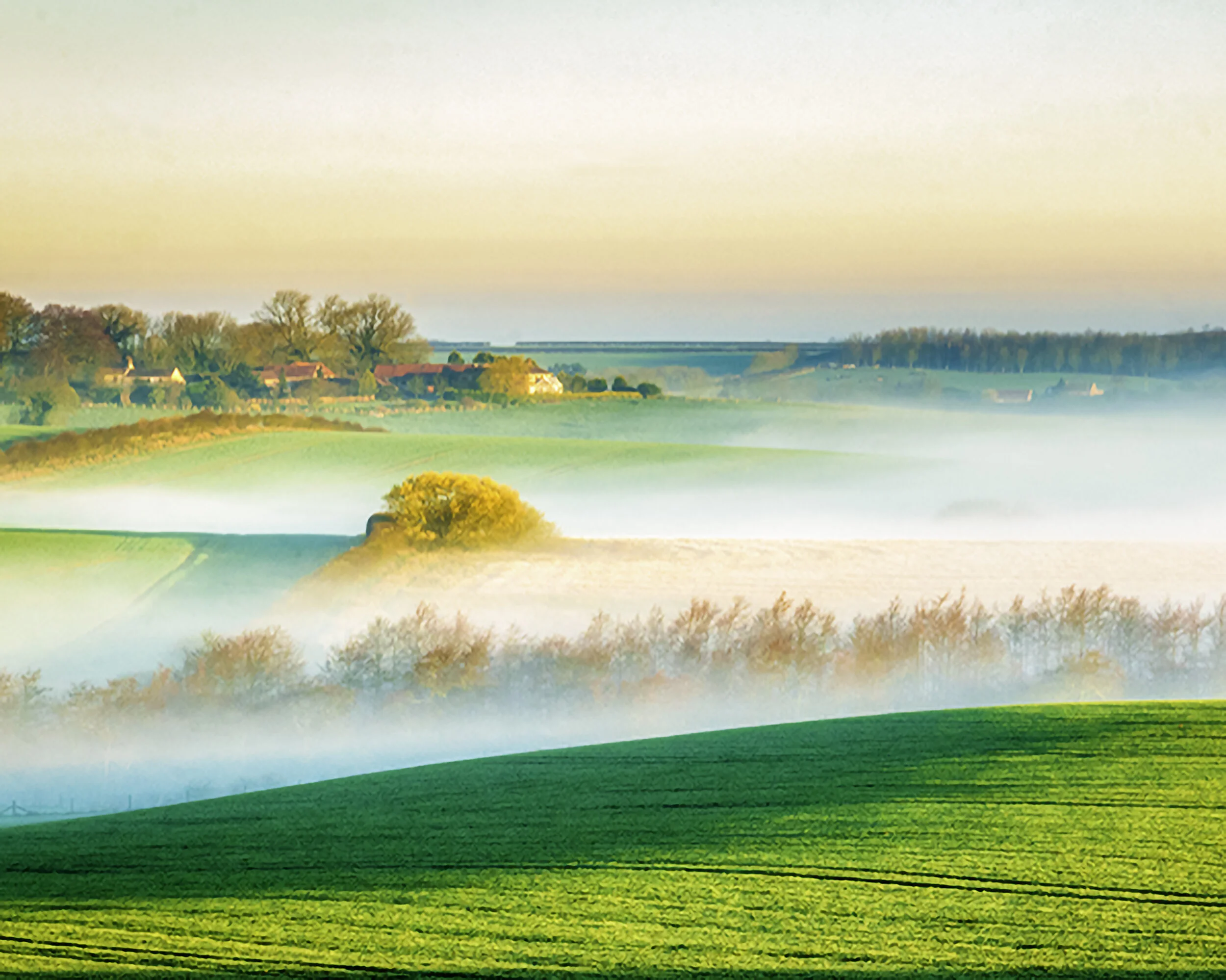 MIst on the Wolds 2014.jpg
