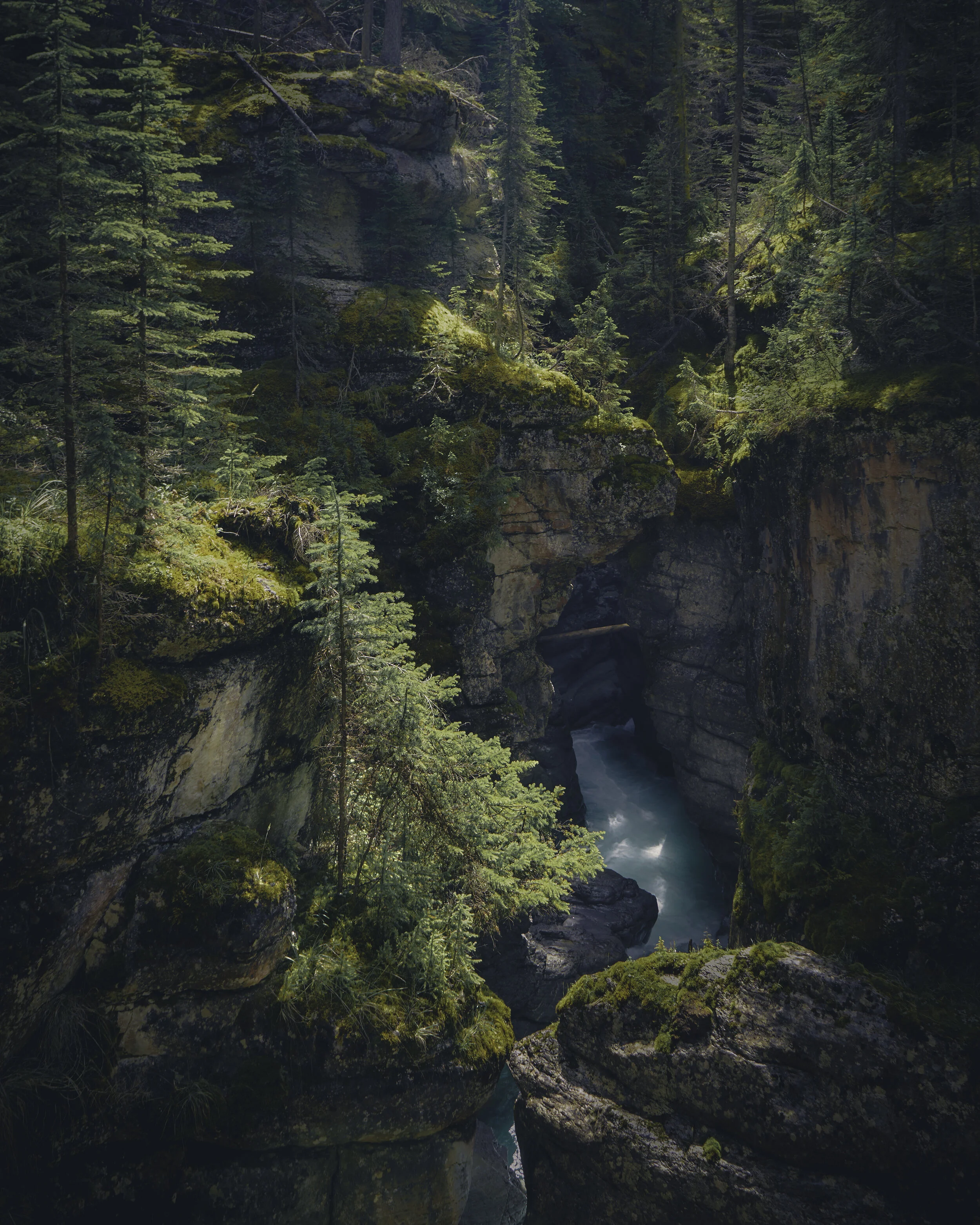 Mystical Maligne 2020.jpg