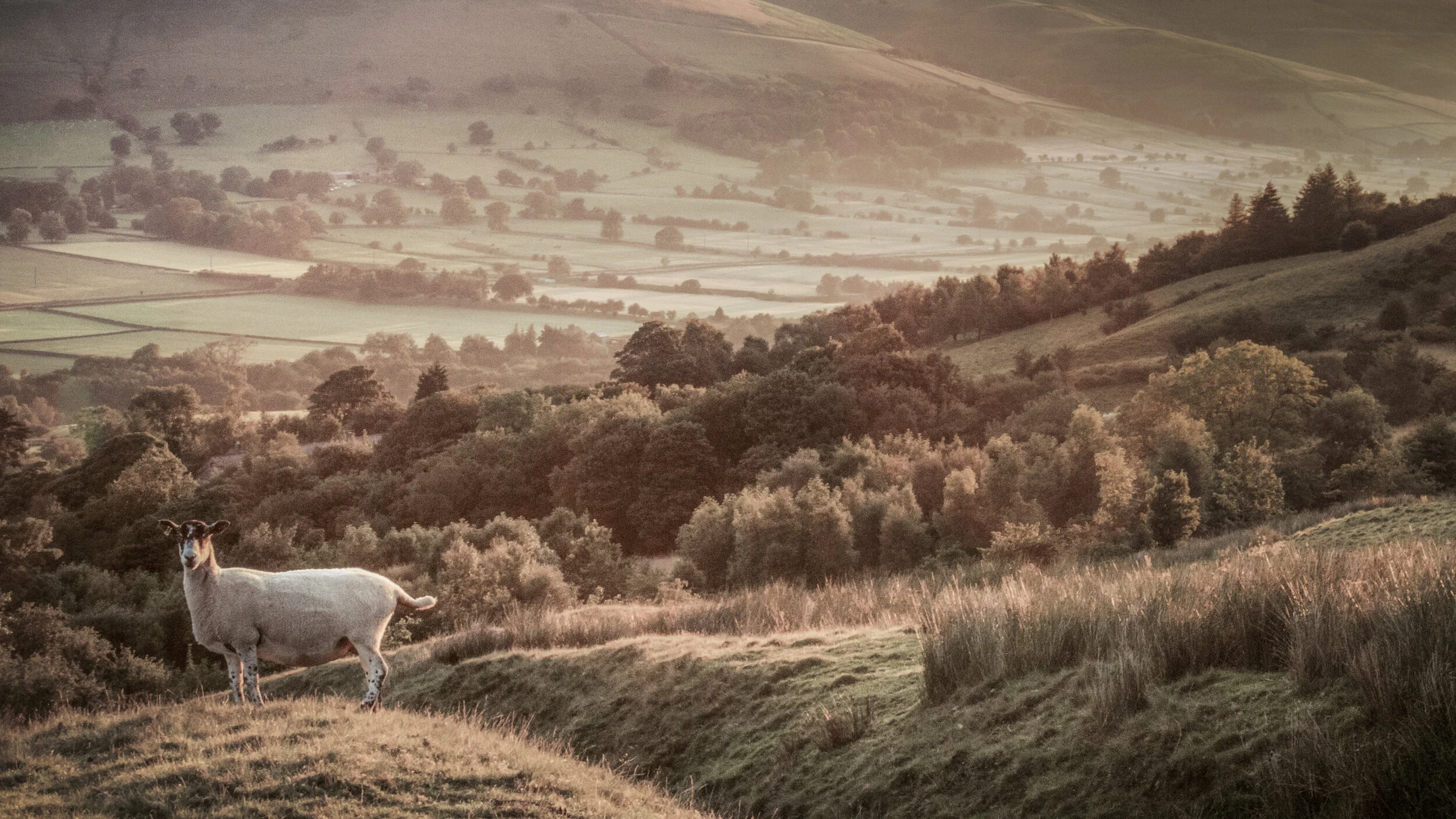 England in a Snapshot