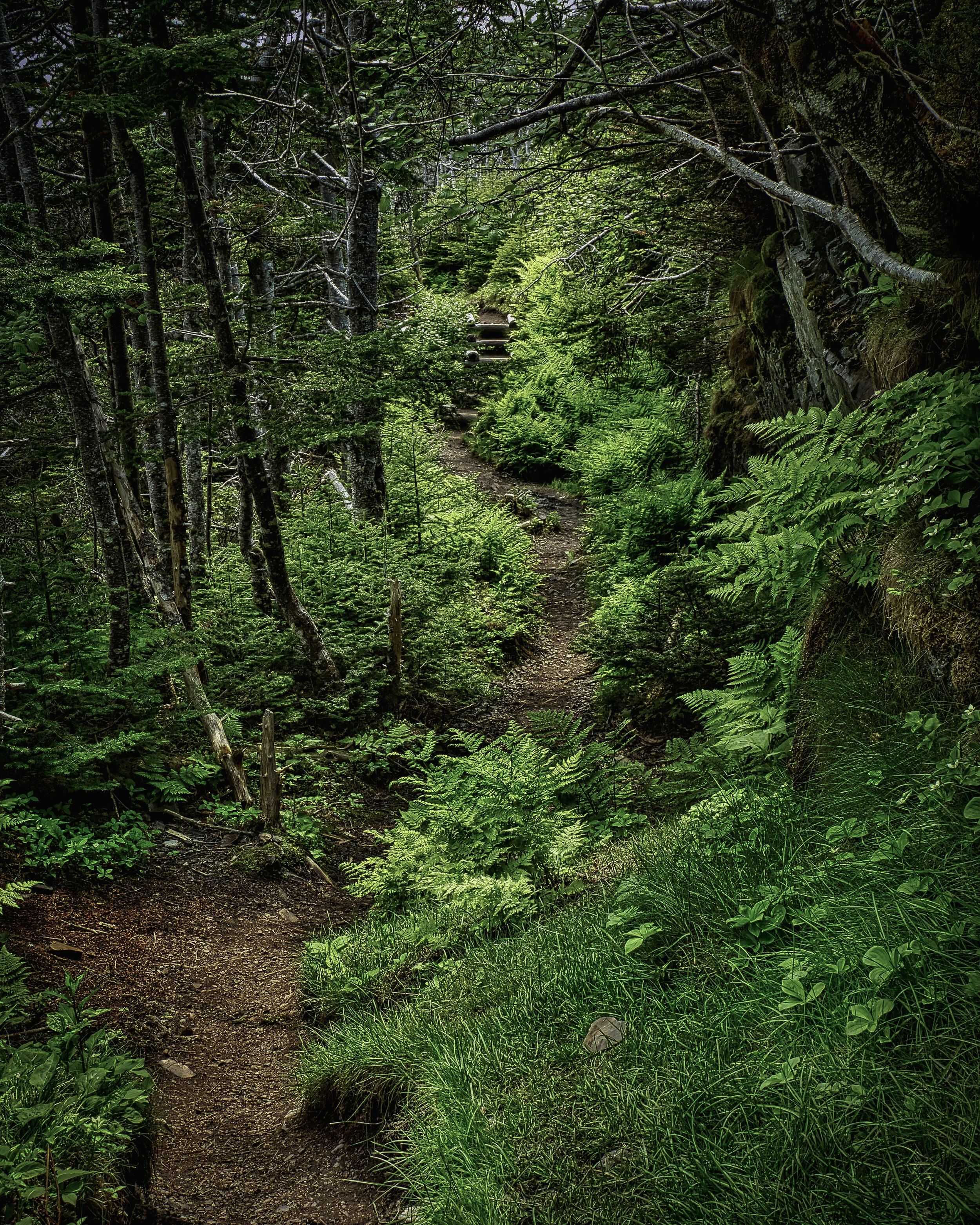 Skerwink 5 Final.jpg