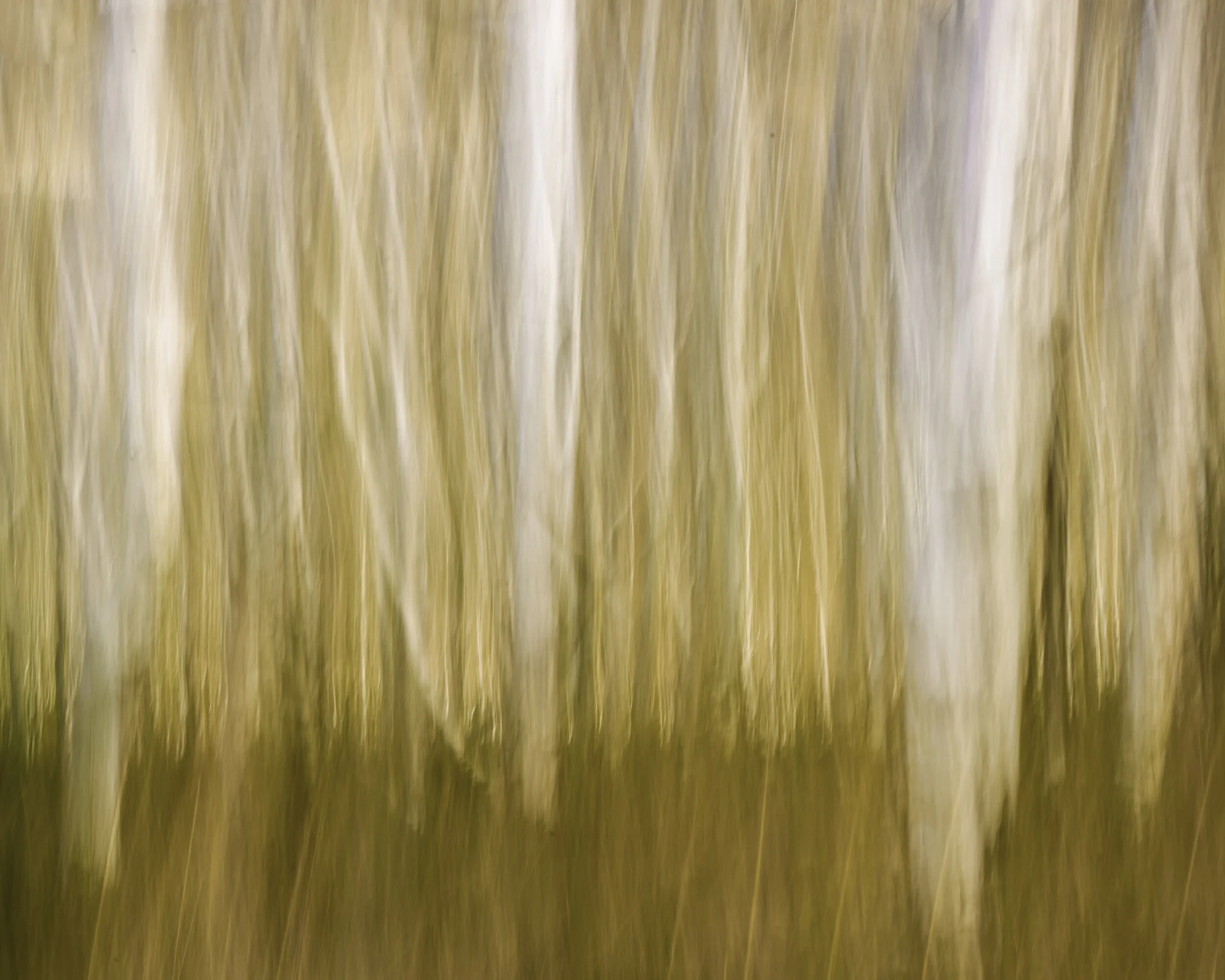 Fall Abstract Waterton 2020 .jpg