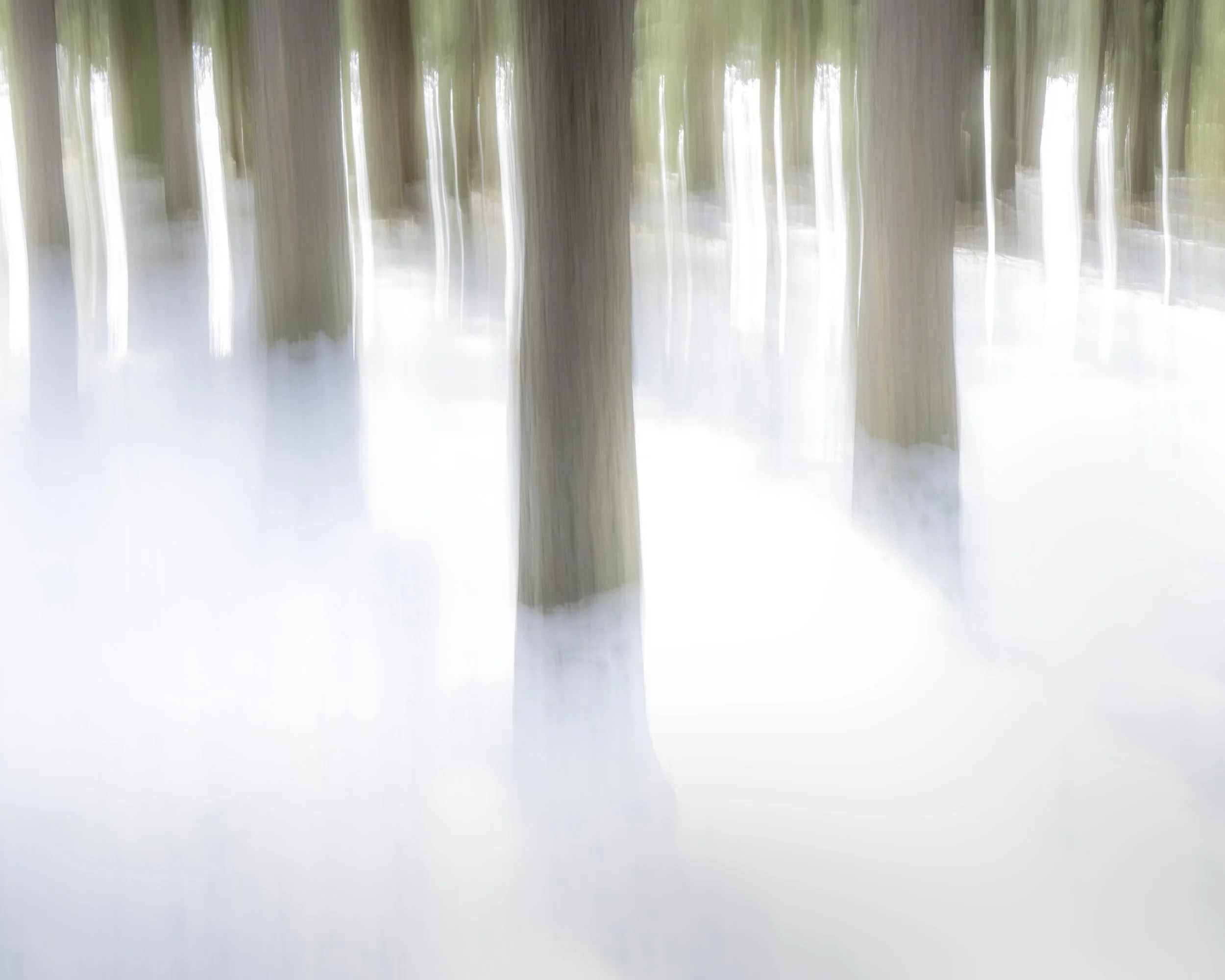 Abstraction of Nature Winter 2021.jpg