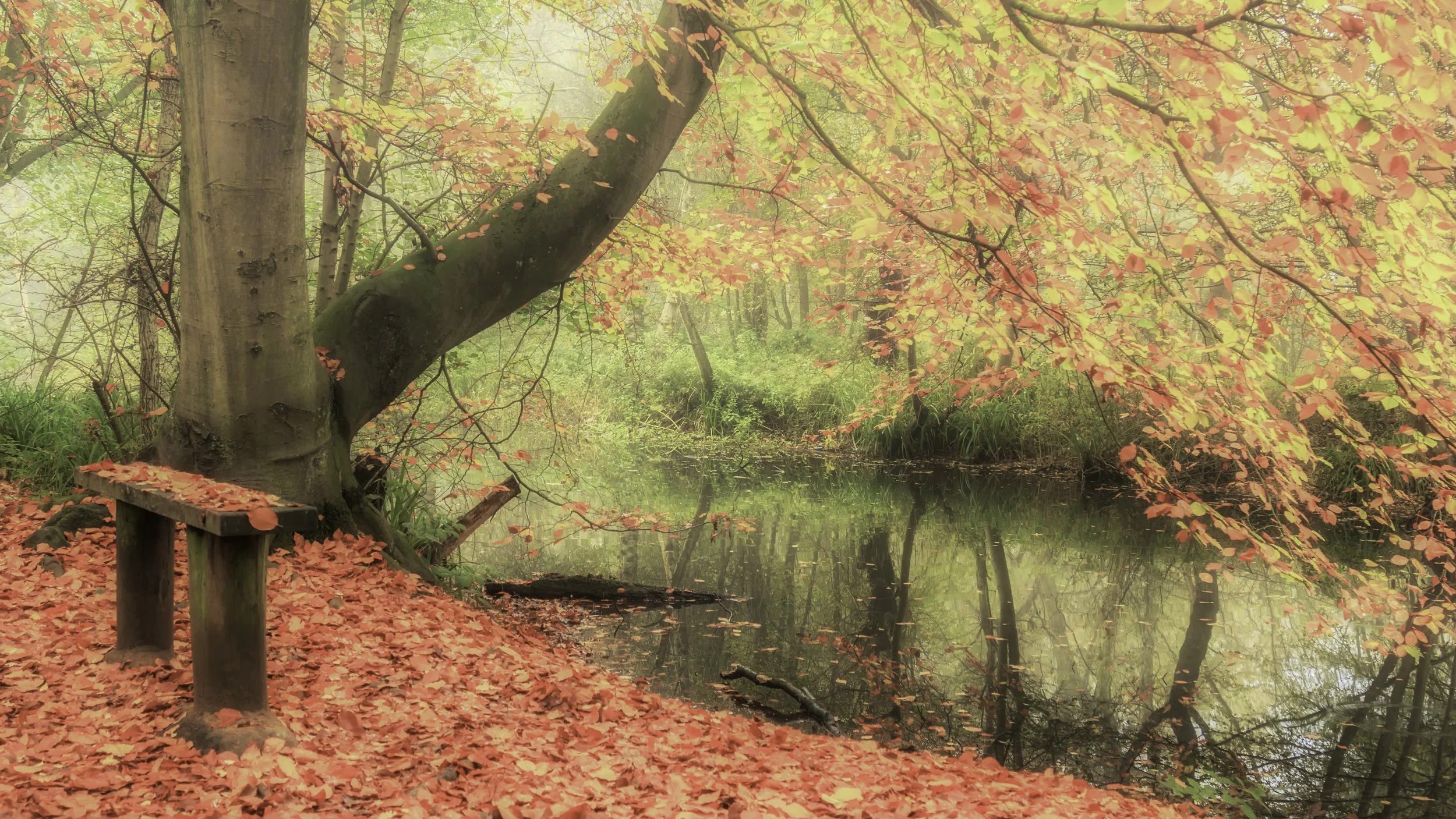 Autumn View-2015.jpg