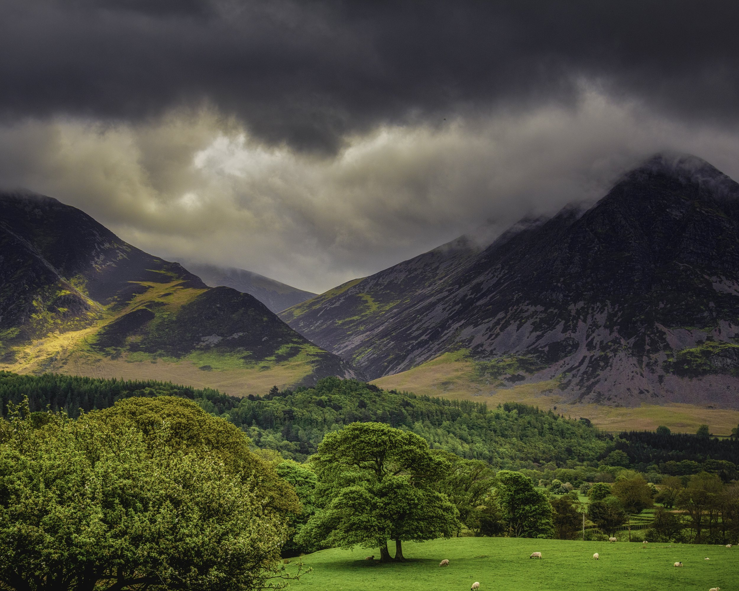 A Glimpse of England