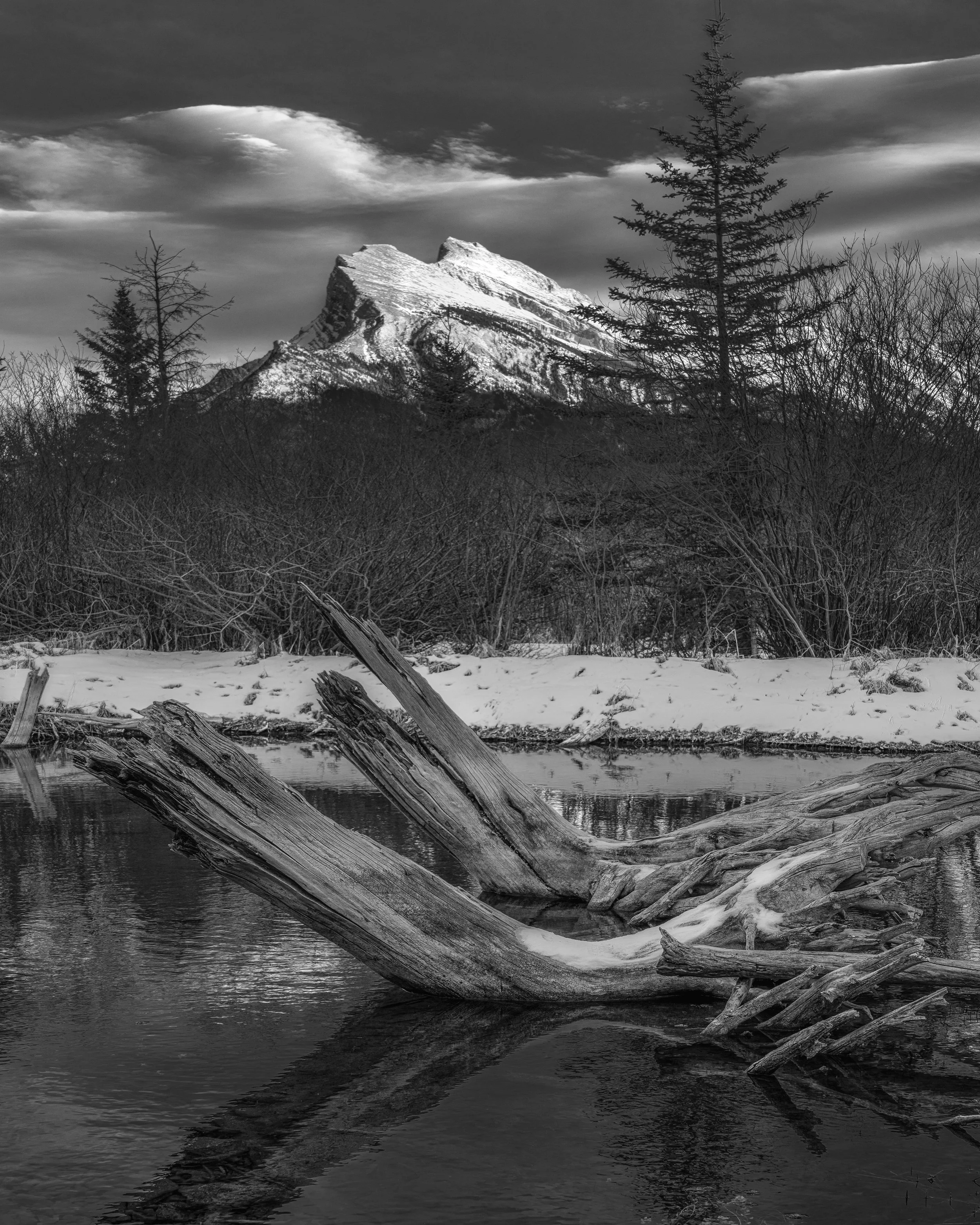 Mount Rundell with Log BW_.jpg
