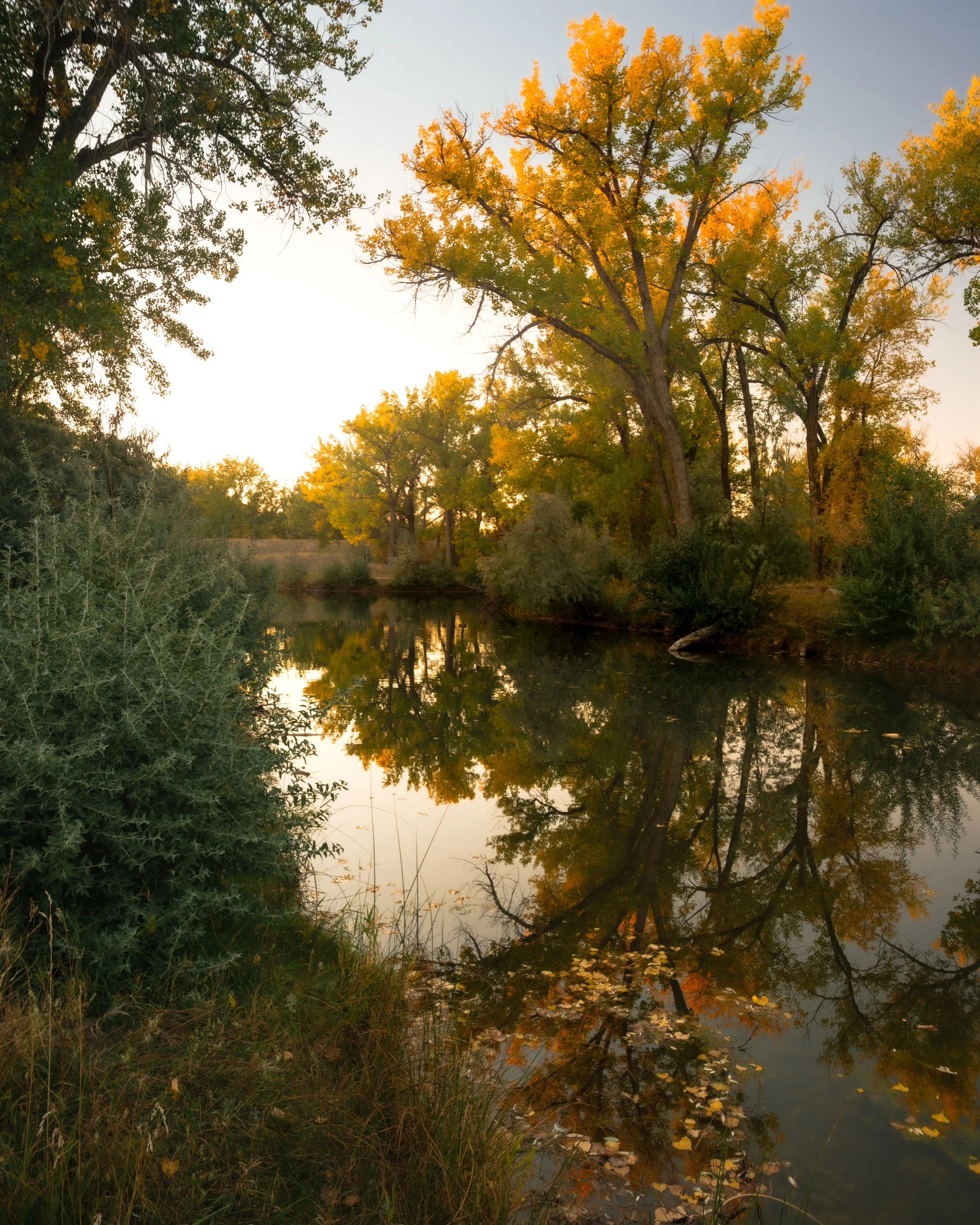 Reflections of Fall with Leaves .jpg