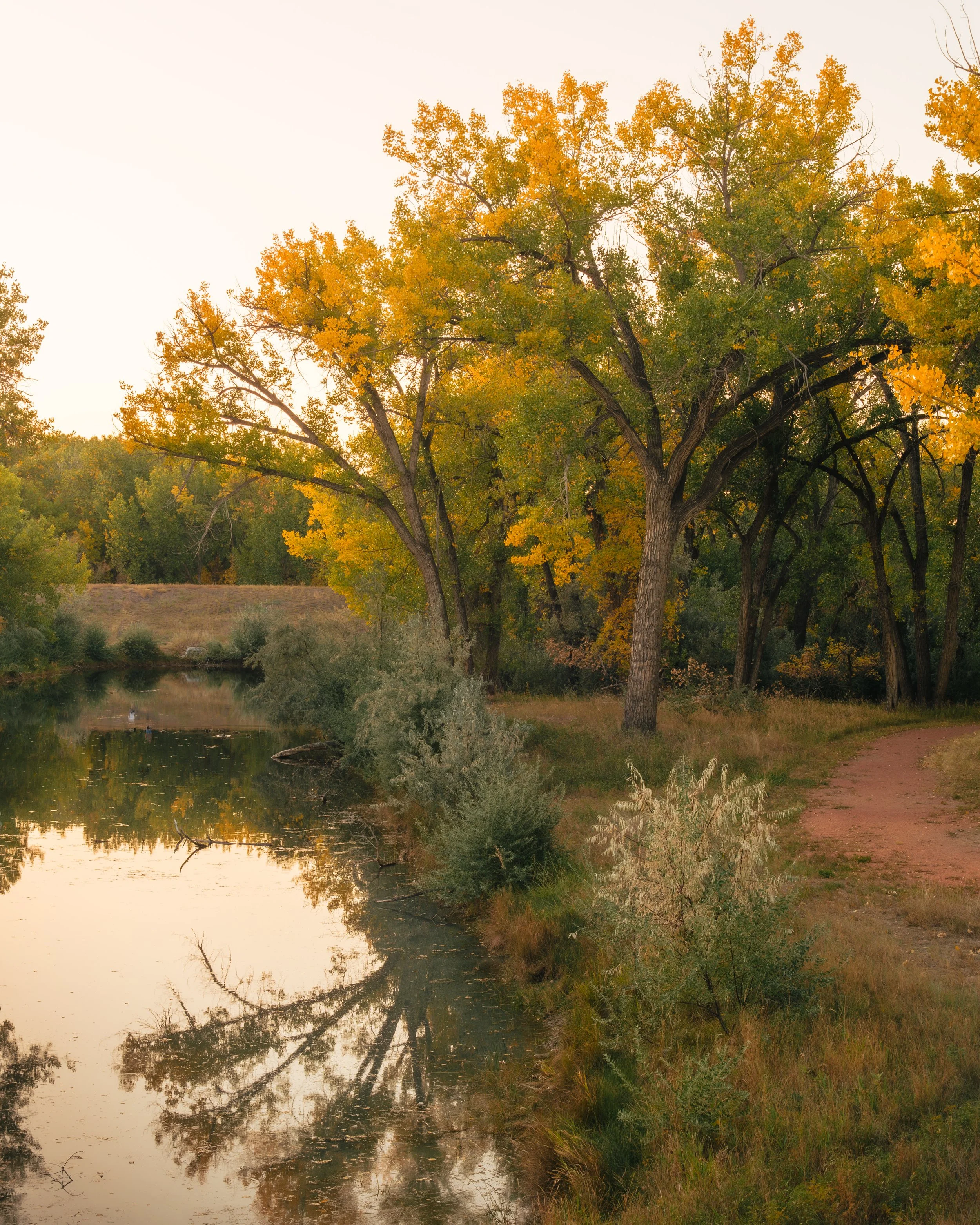 Fall Path Final 1 .jpg