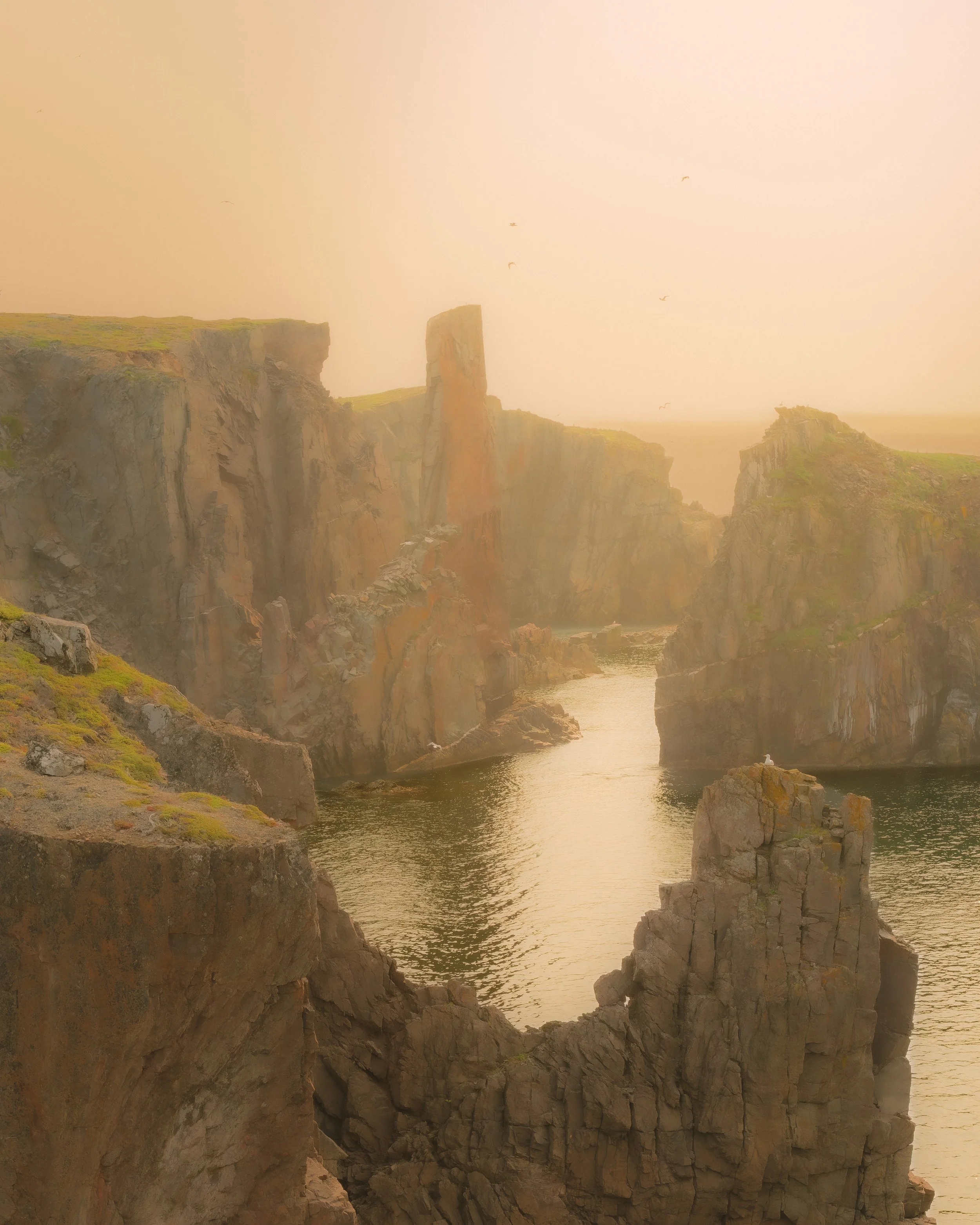 Spillers Test Edit .jpg