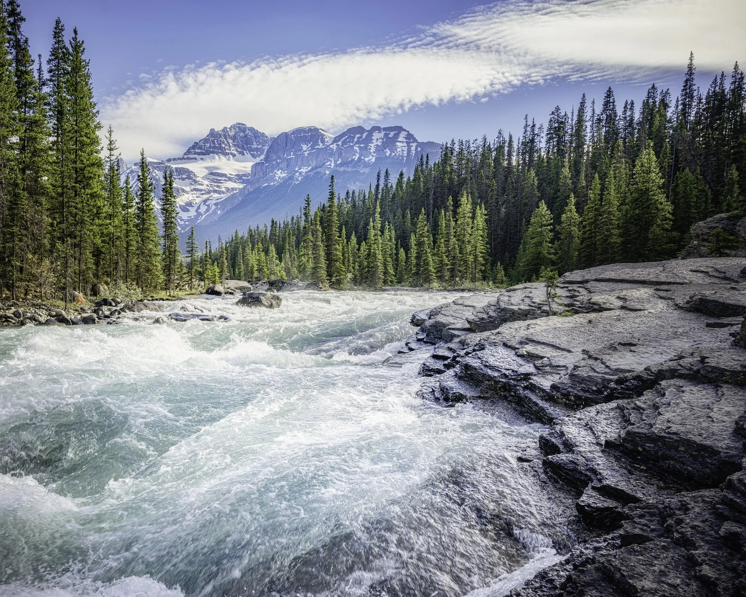A river flowing through a forest of pine trees with snow-capped mountains in the background, under a partly cloudy sky.