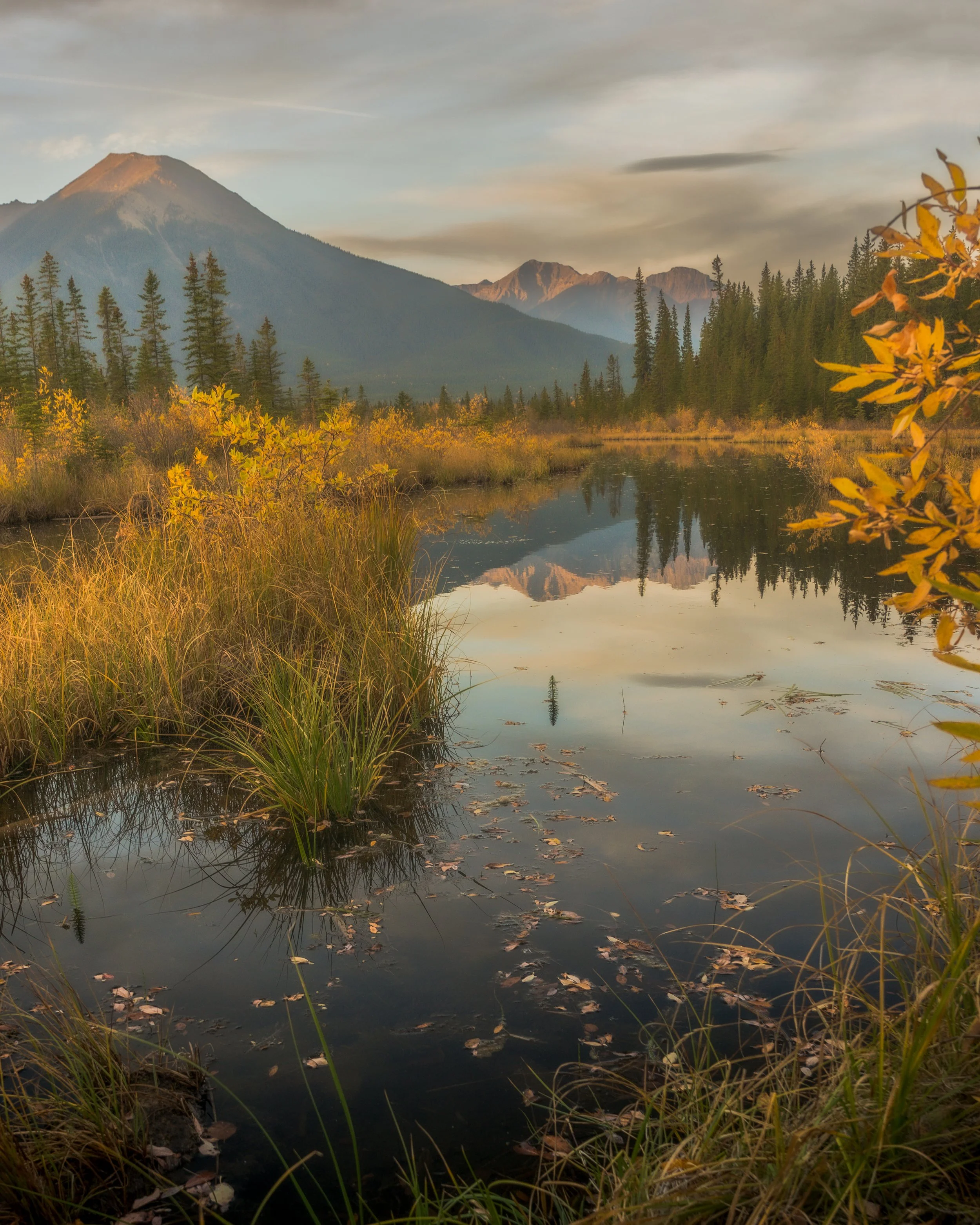 Fall into the Mountains 1 .jpg