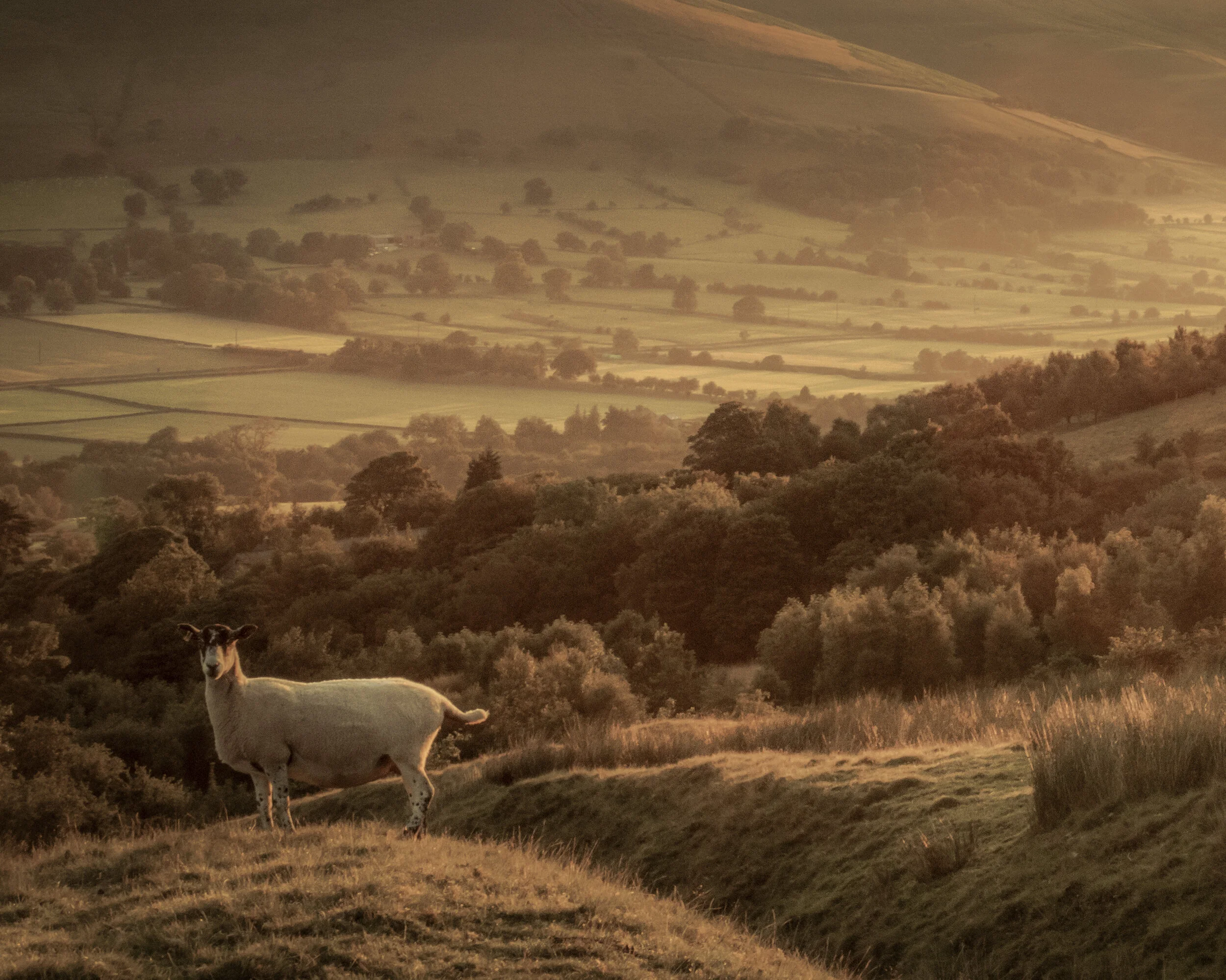 Sunrise at the Peak District 2016.jpg