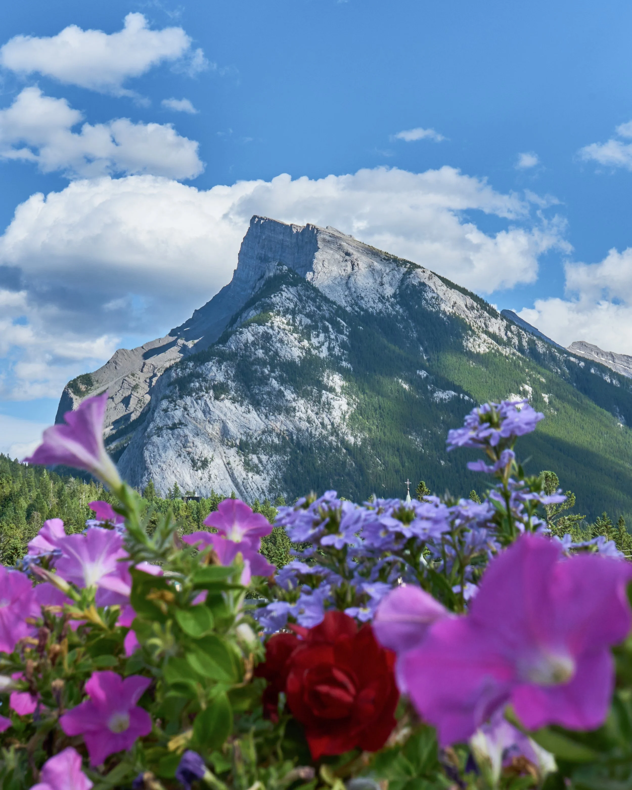 Summer_Rundle_Banff_2022.jpg