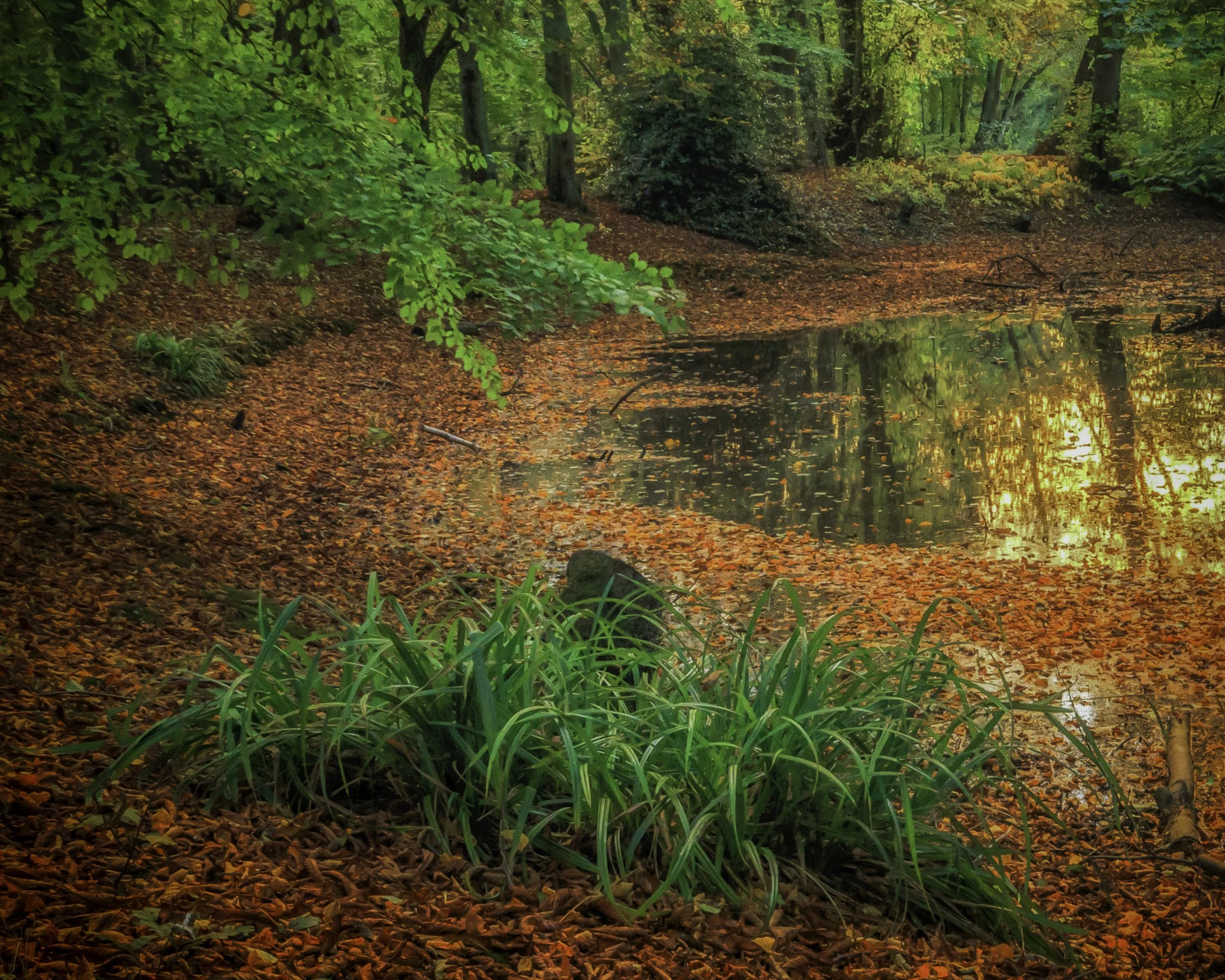 Autumn Reflections 2015.jpg