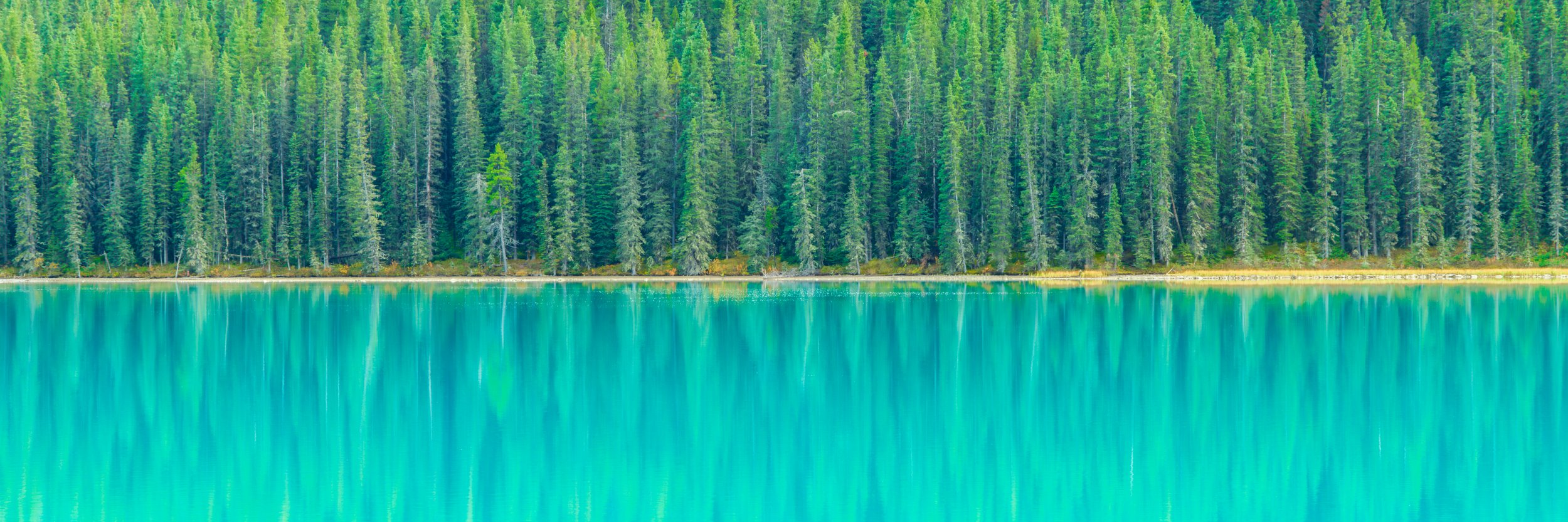 The Wilderness Hit Refined .jpg